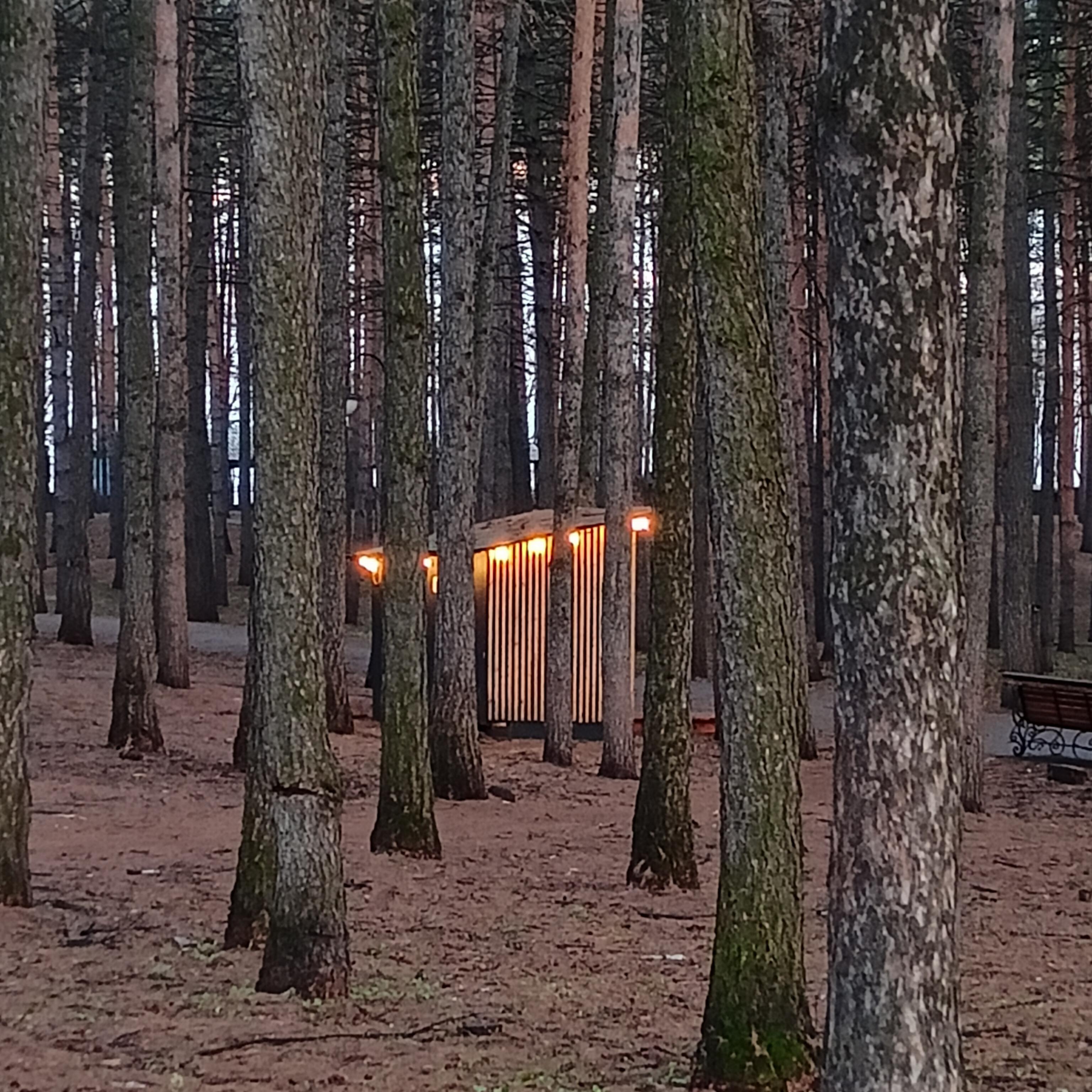 Релиз Медленно вниз