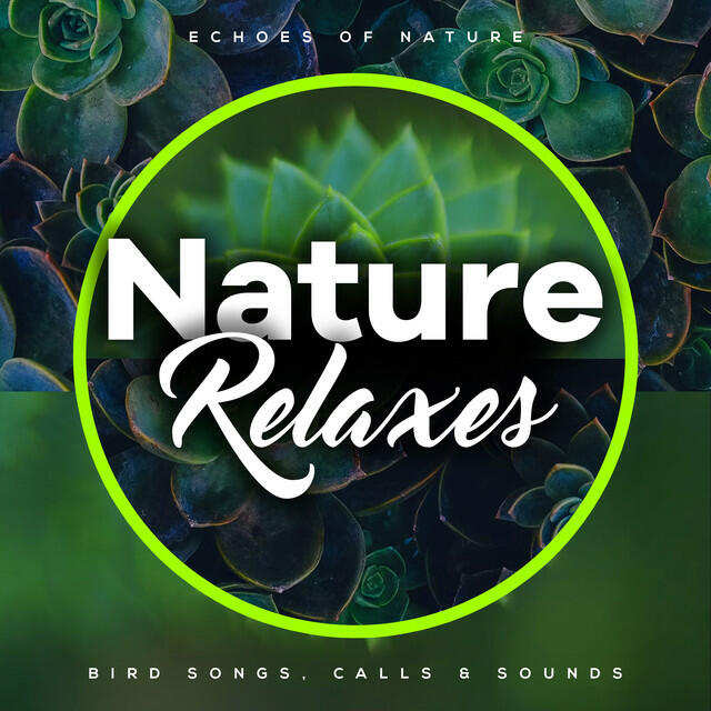 Релиз Nature Relaxes