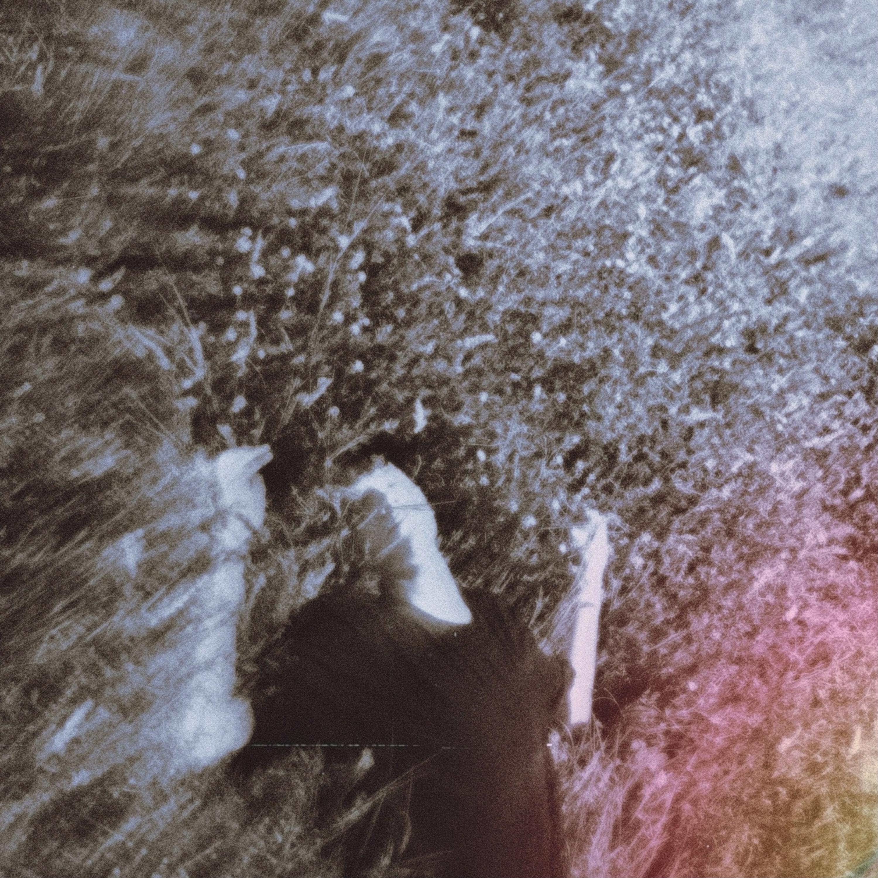 Релиз Forgiveness