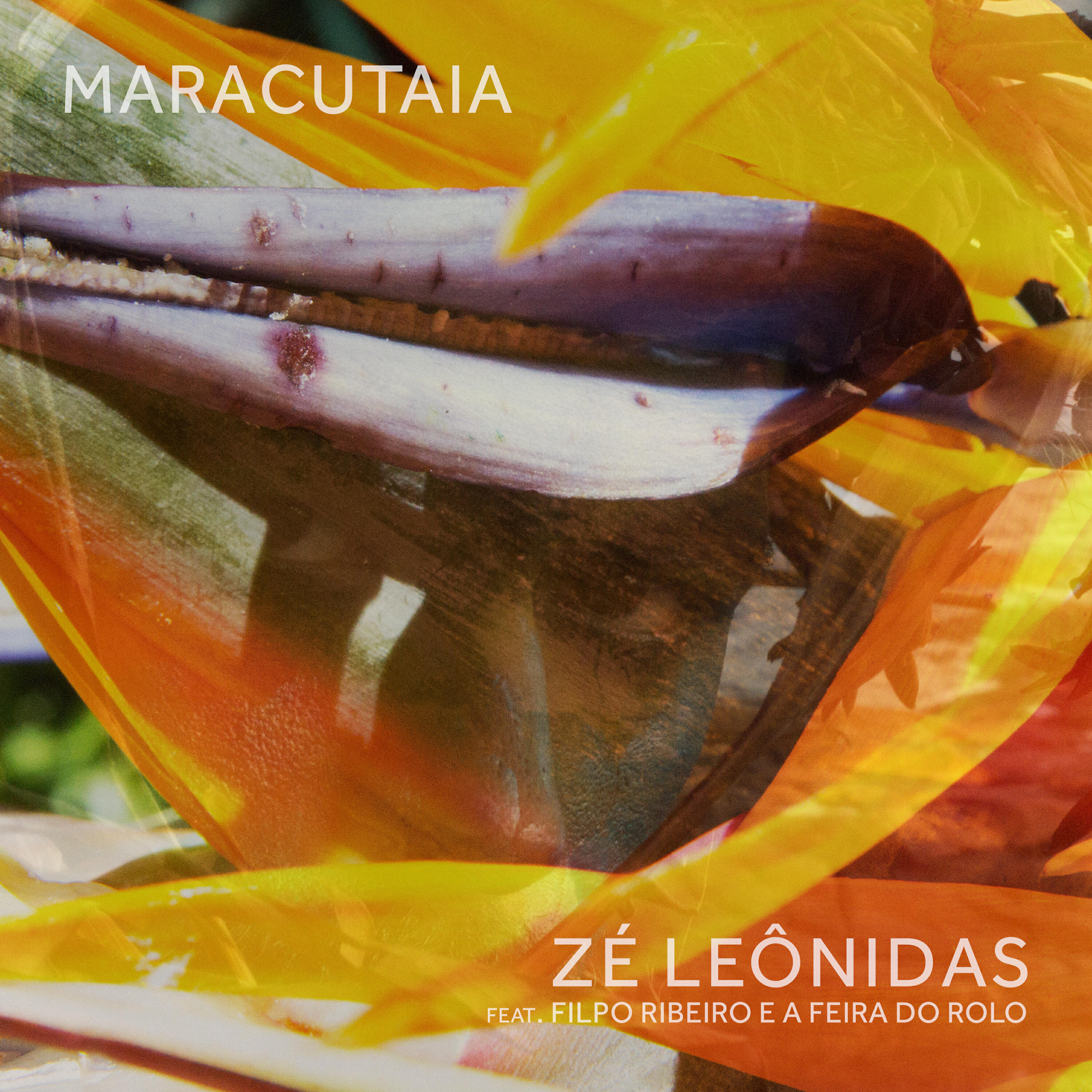 Релиз Maracutaia