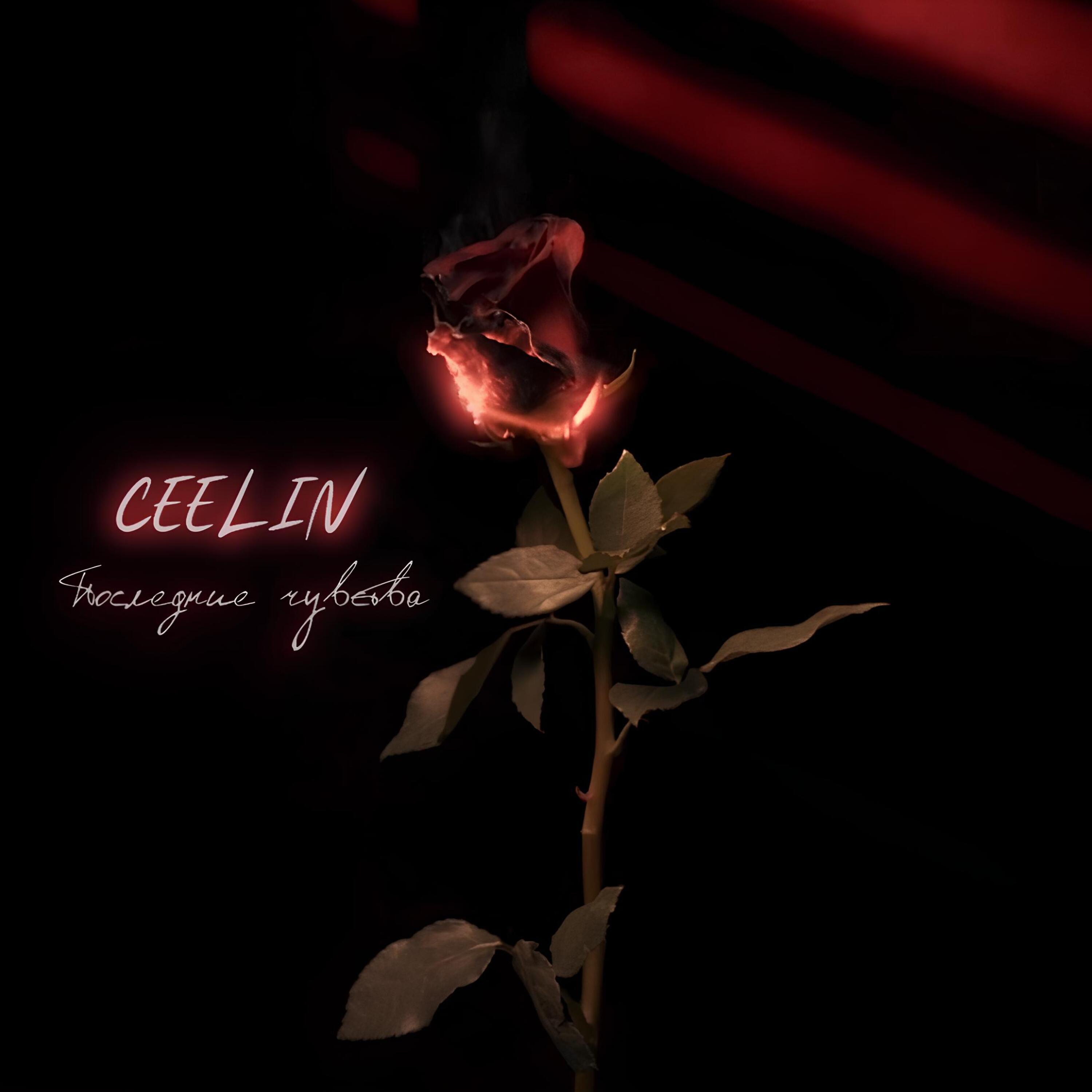 Релиз Последние чувства