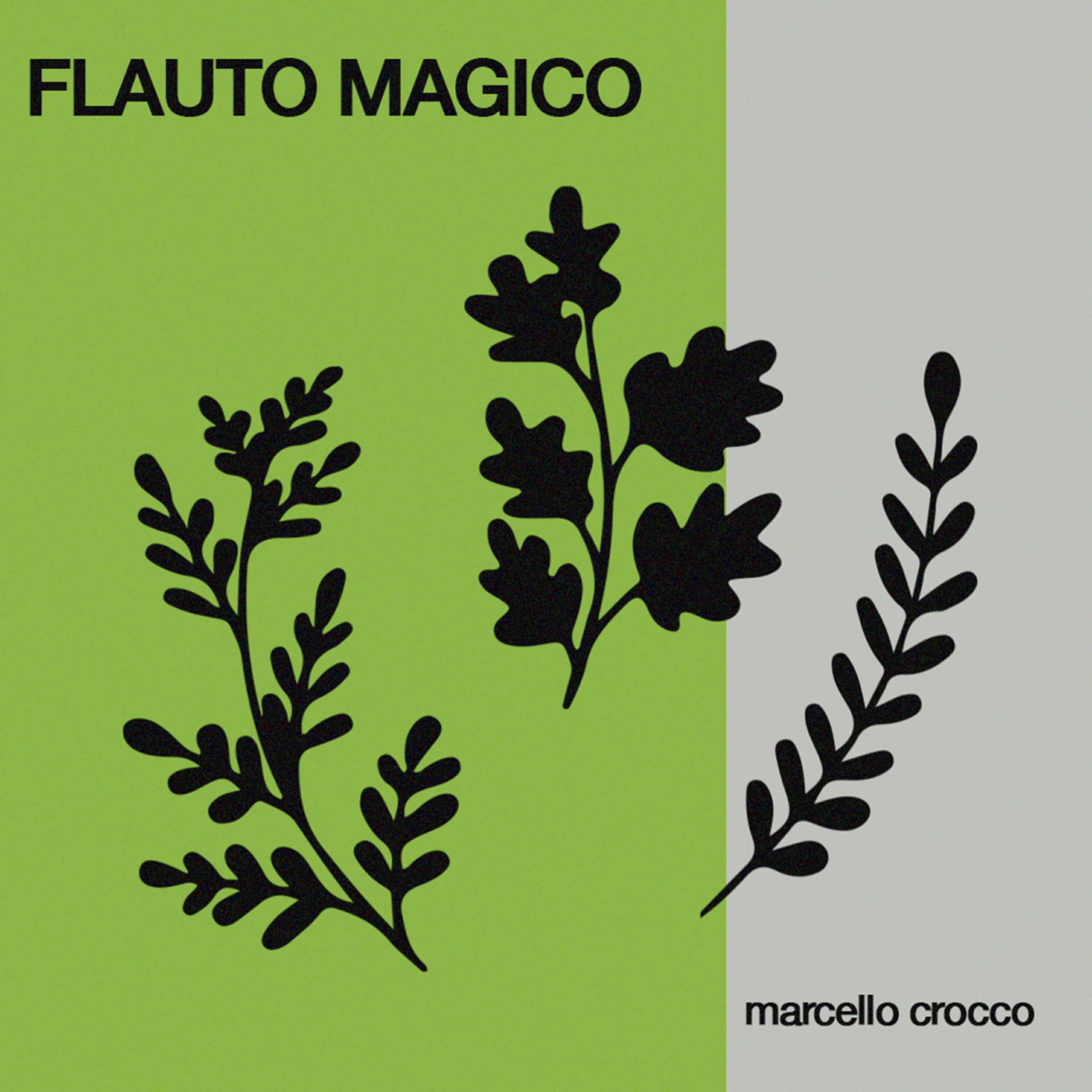 Релиз Flauto Magico