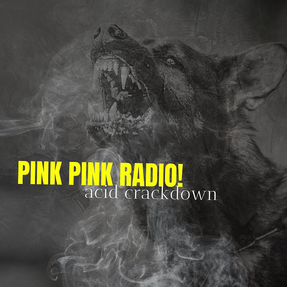 Pink Pink Radio!