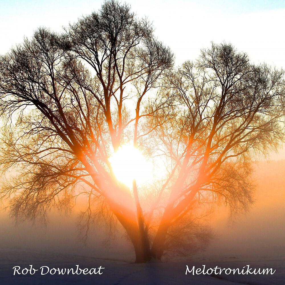 Релиз Melotronikum (Radio Edit)