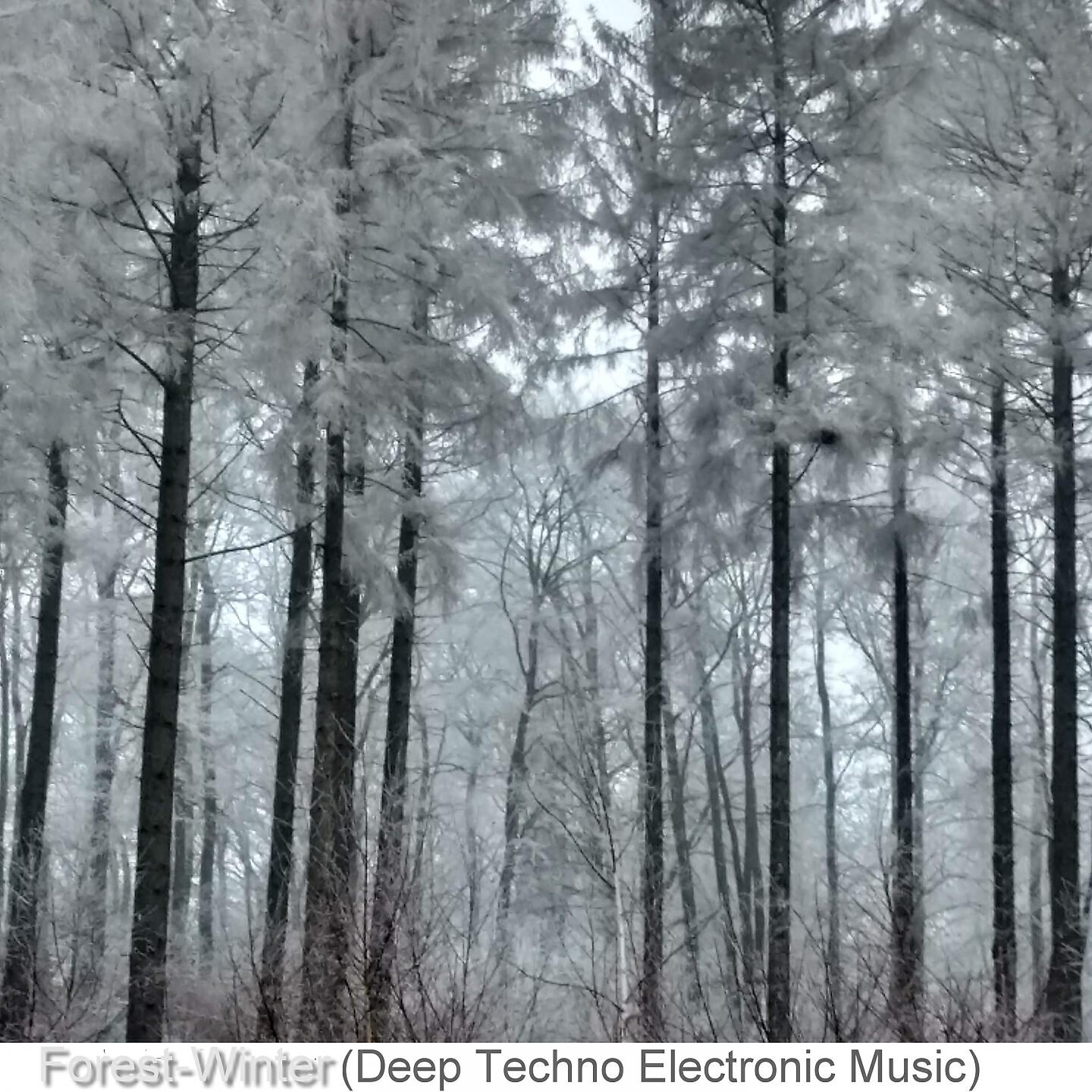Релиз Forest-Winter (Deep Techno Electronic Music), Vol. 2