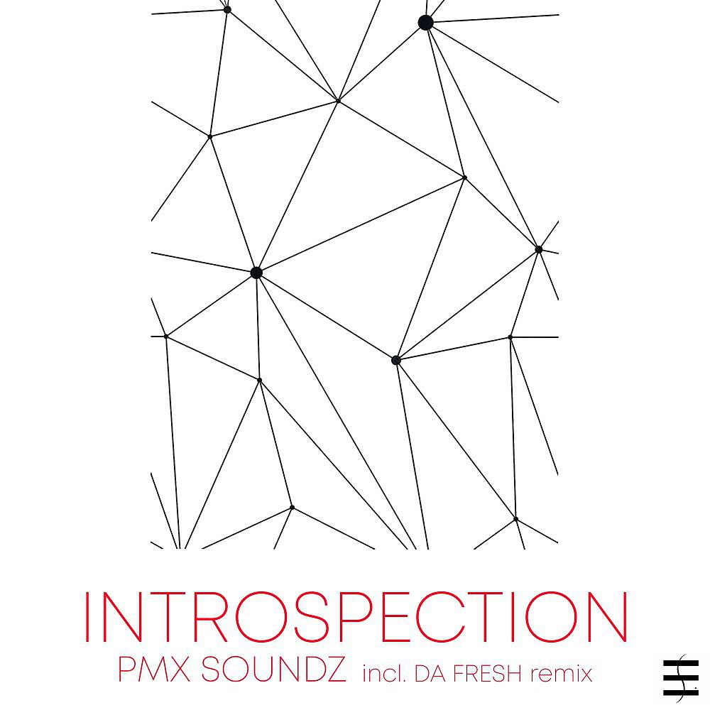 Постер альбома Introspection