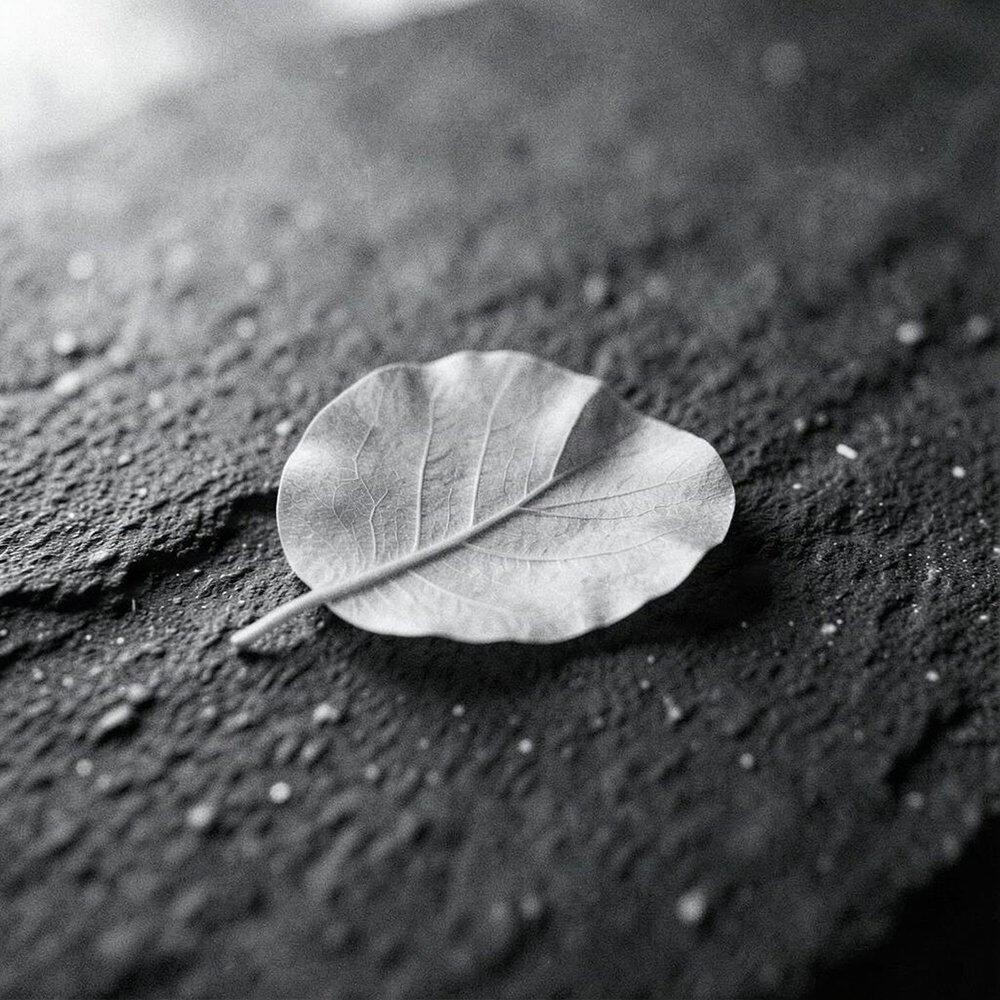 Релиз Fall out of love