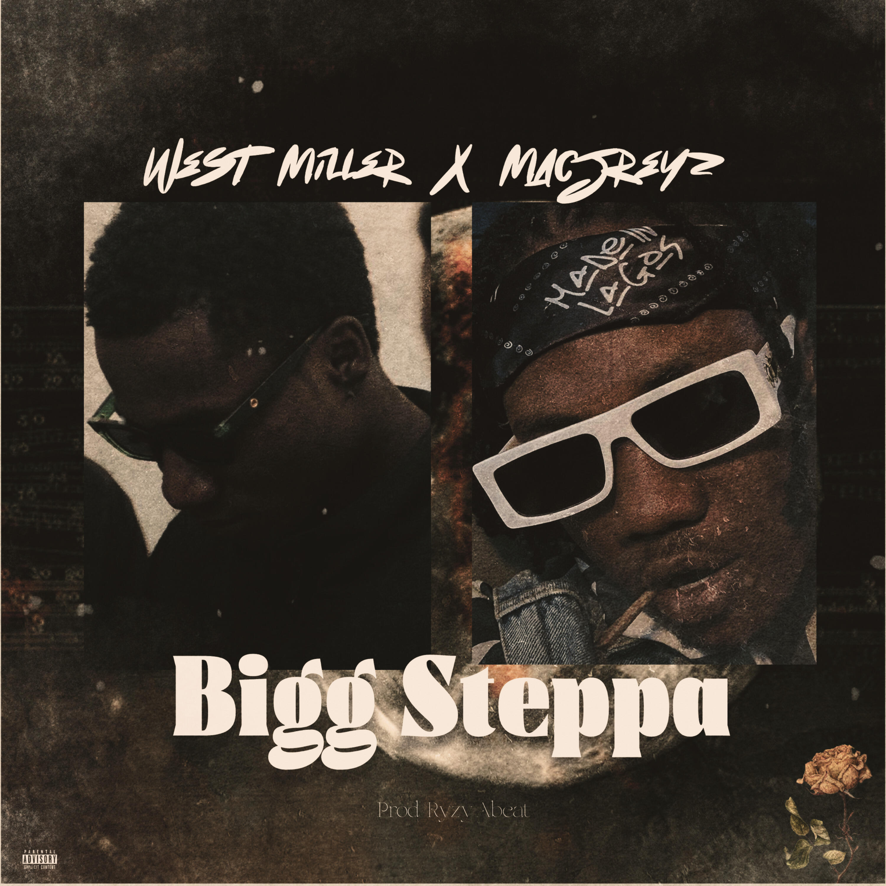 Релиз Bigg Steppa