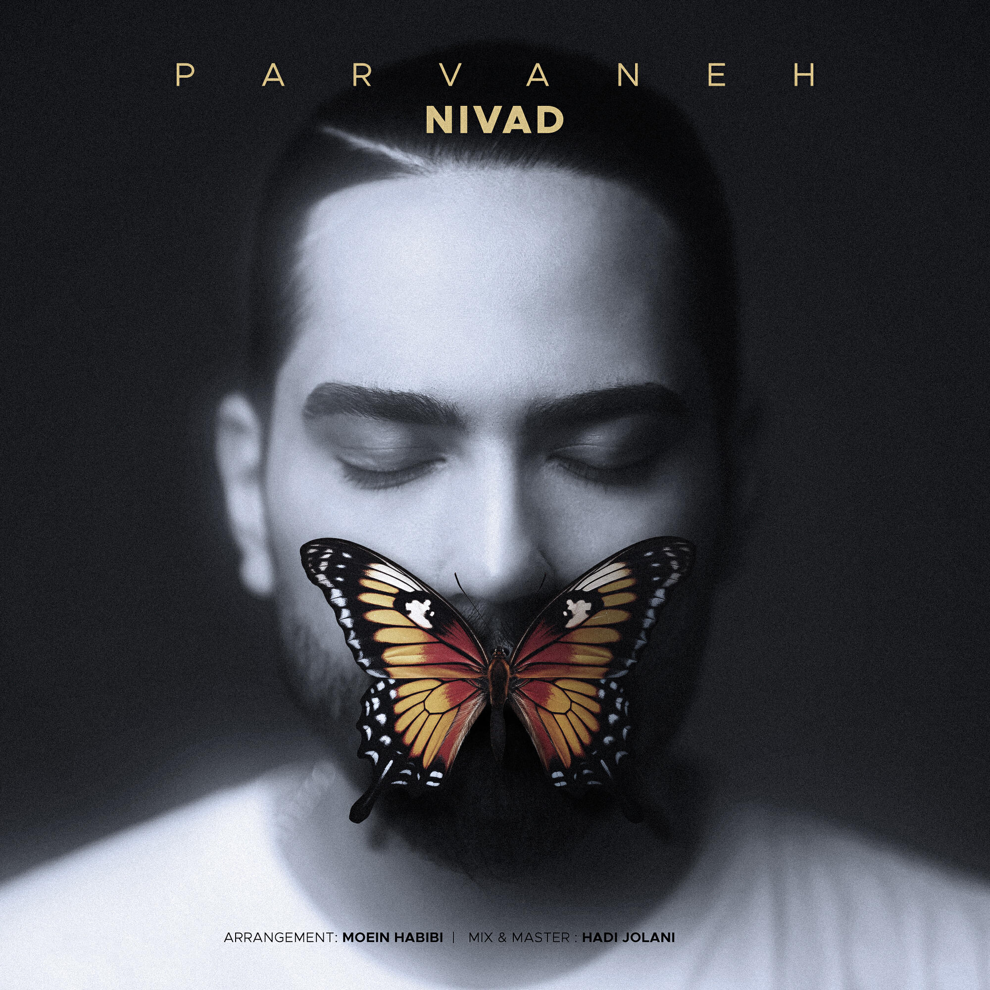 Релиз Parvaneh