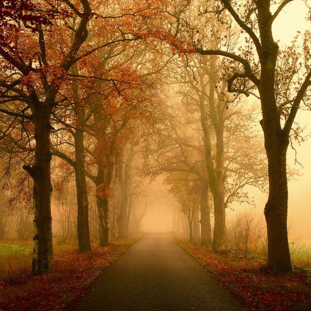 Релиз HOL MICH ZURÜCK