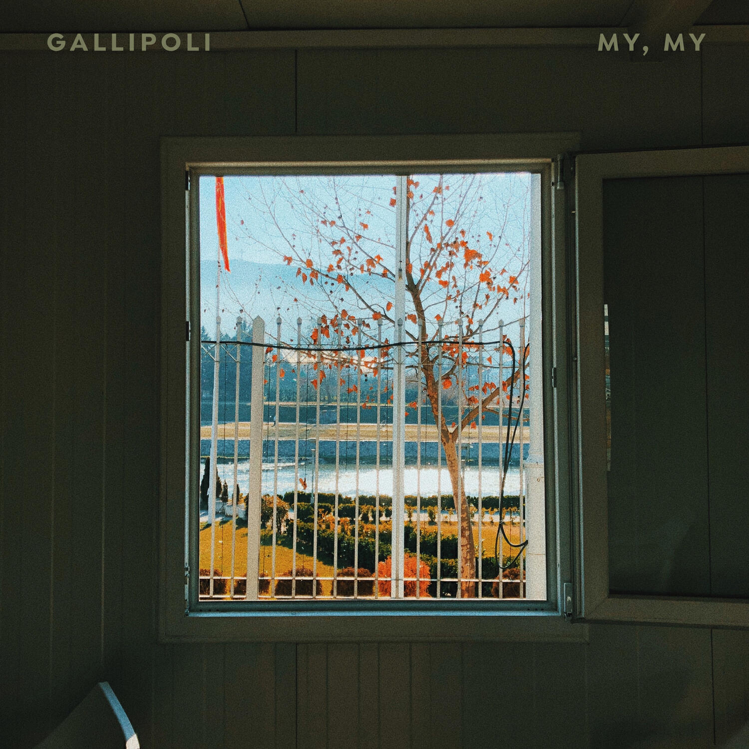 Релиз My, My