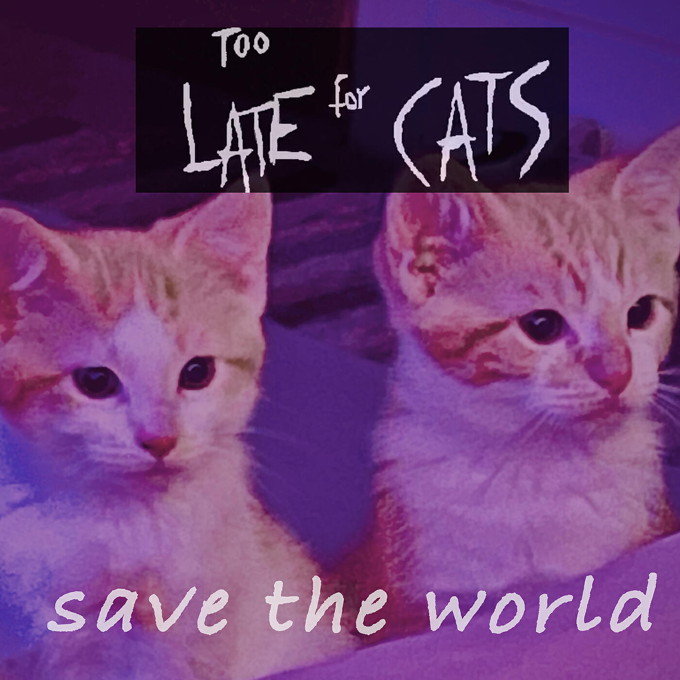 Too Late For Cats