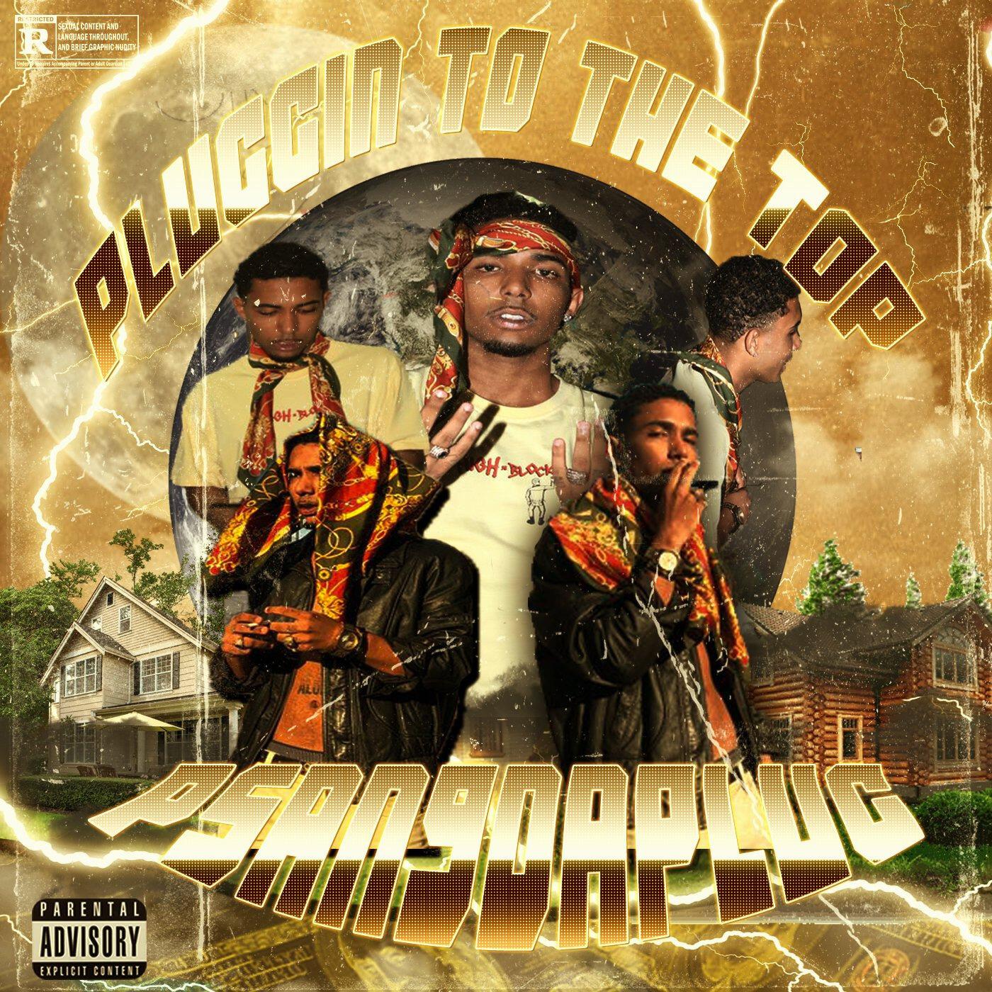 Релиз Pluggin to the Top