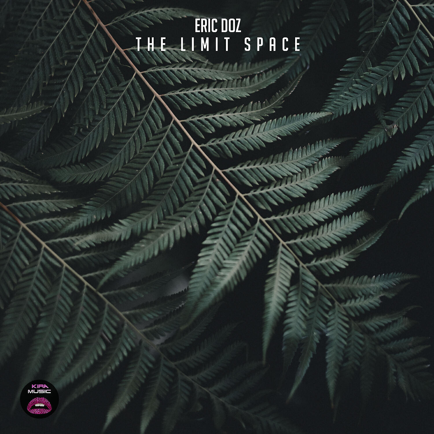 Релиз The Limit Space