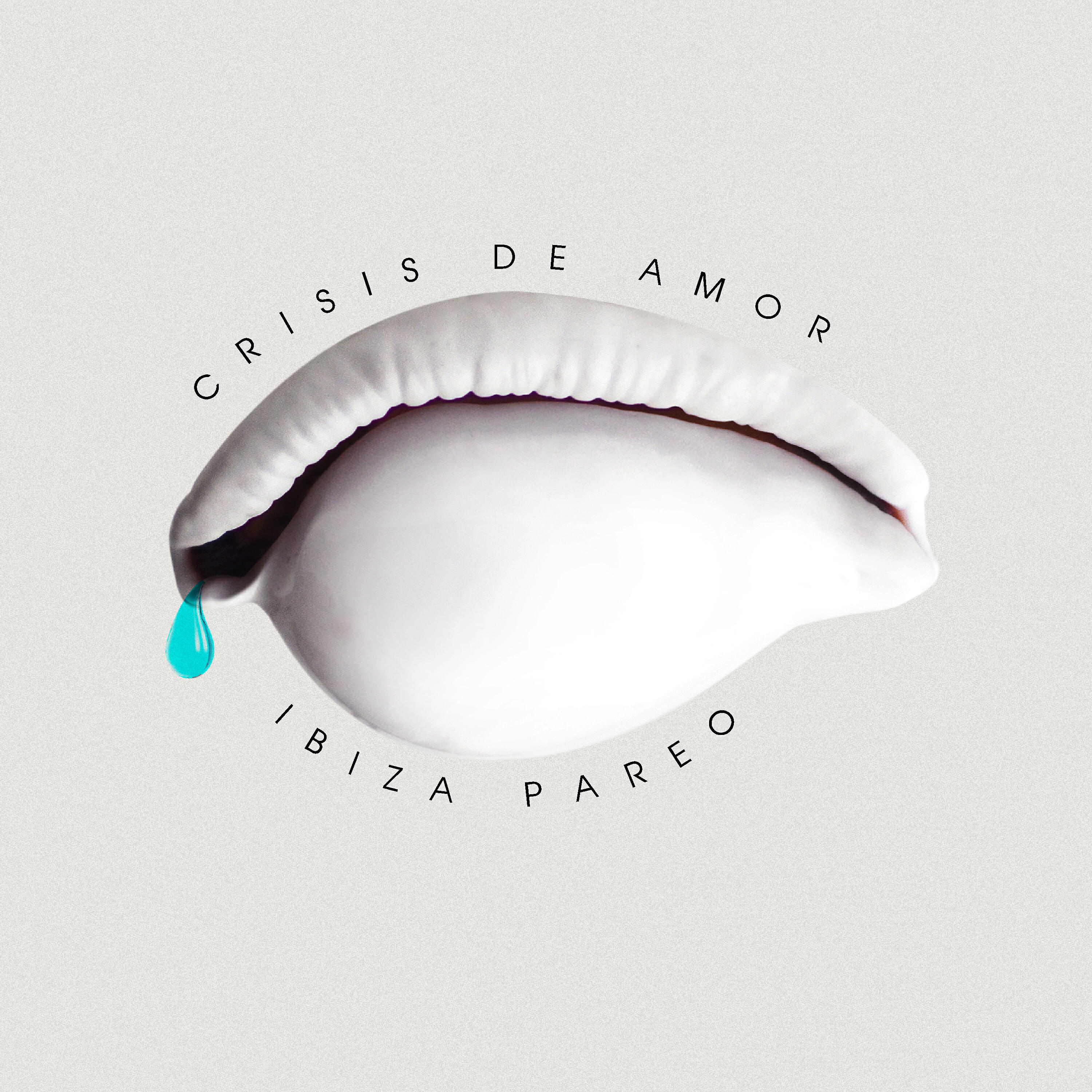 Релиз Crisis de Amor