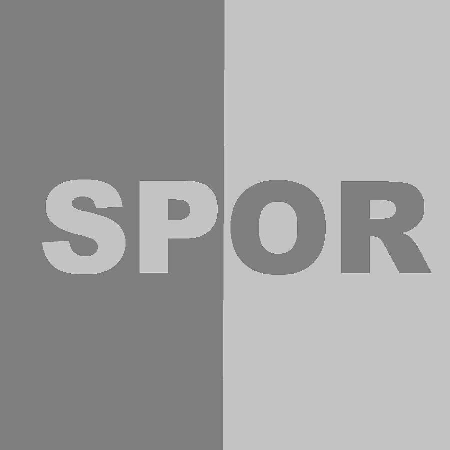 Релиз SPOR
