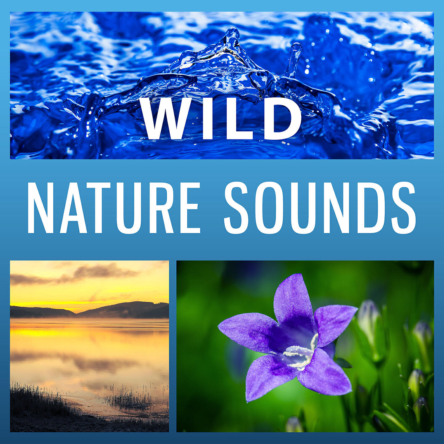 Релиз Wild Nature Sounds