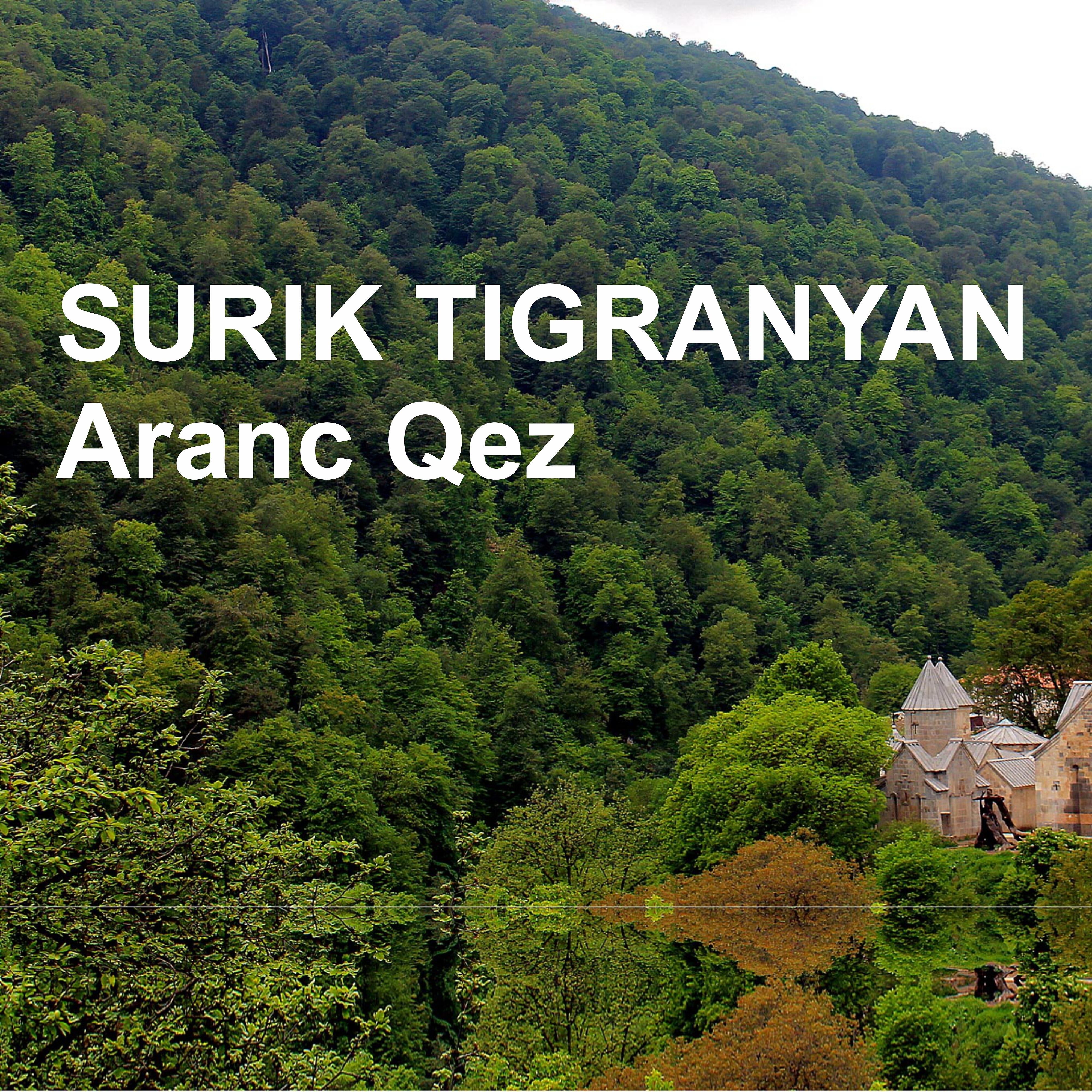Surik Tigranyan