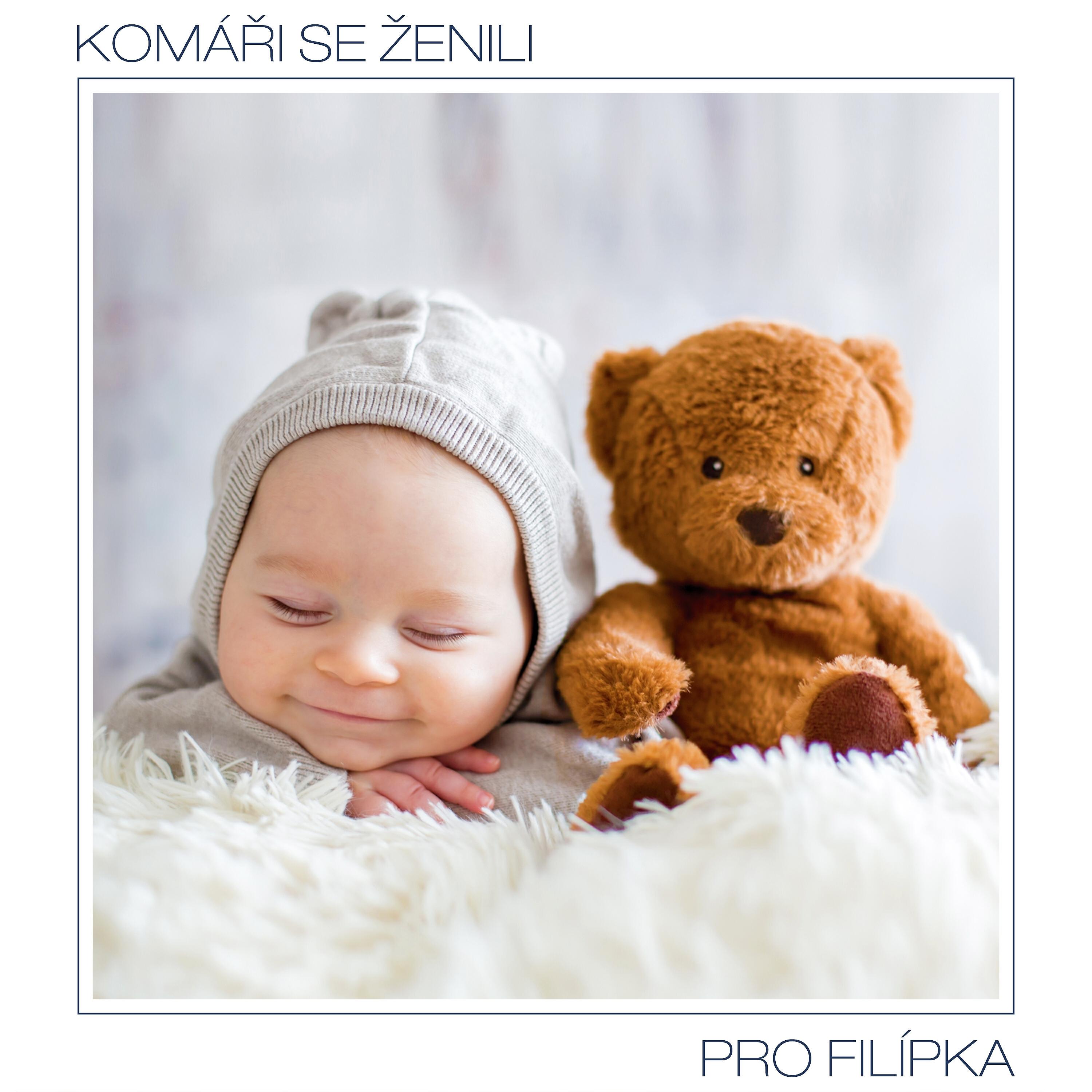 Постер альбома Komáři se ženili