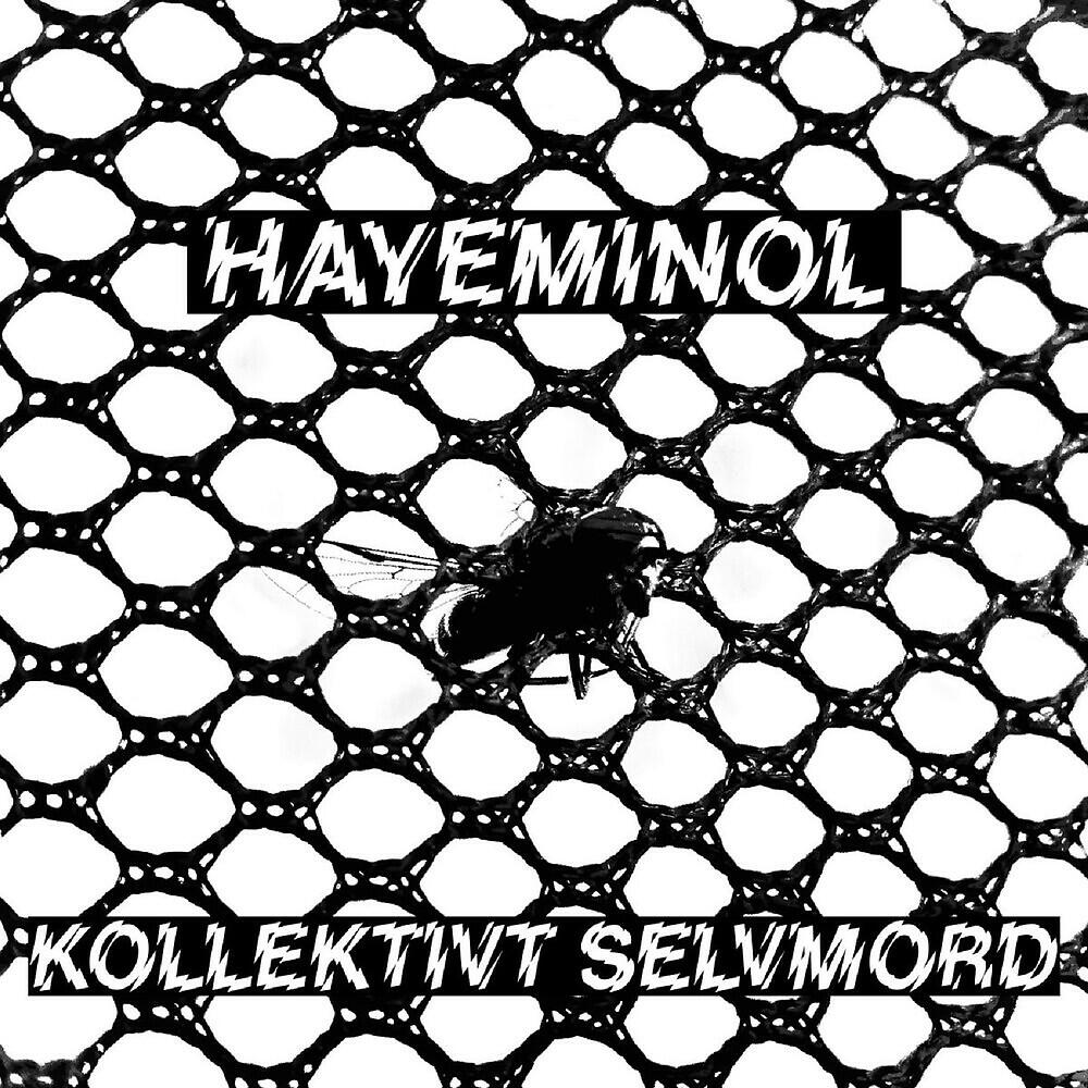 Hayeminol