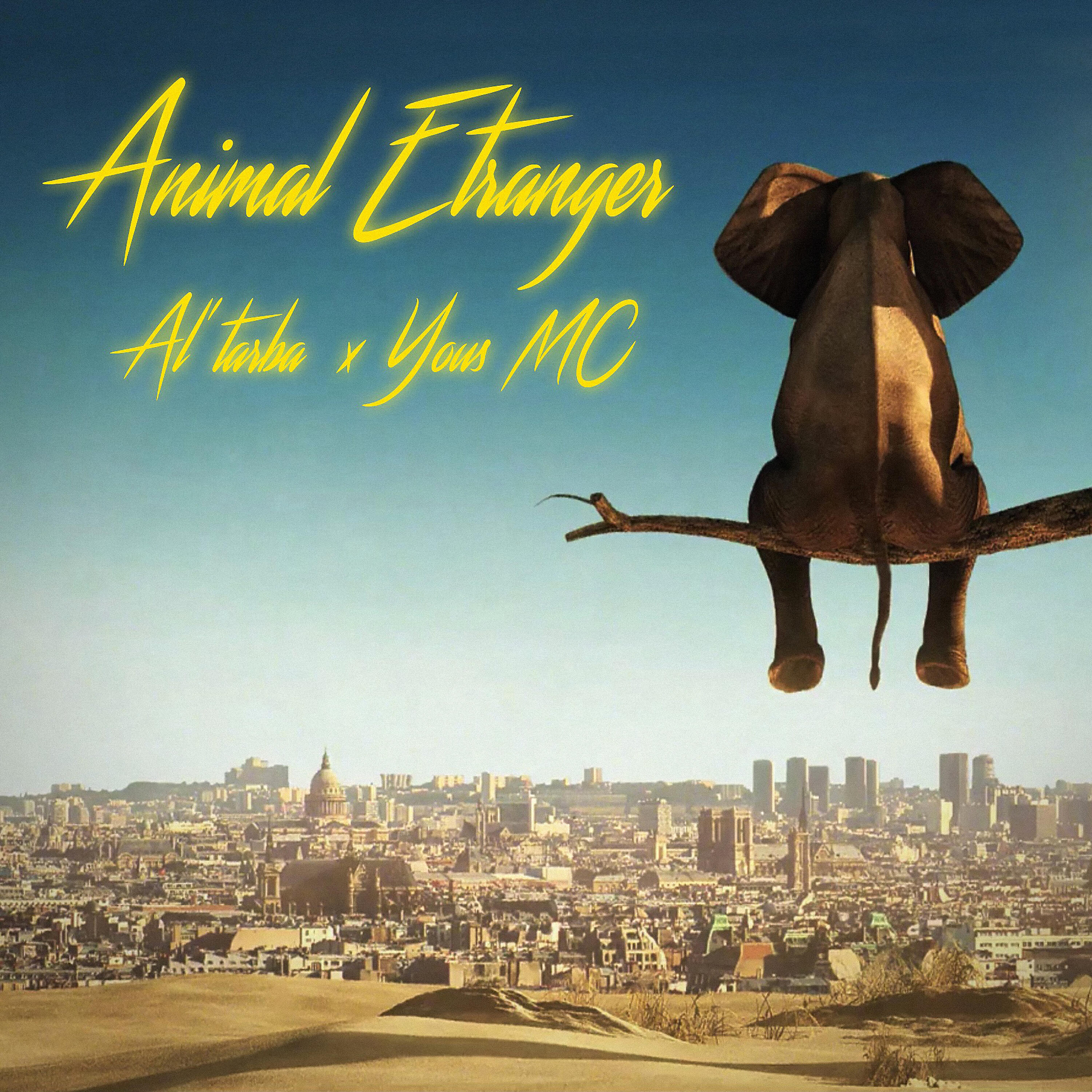 Релиз Animal Étranger (Cdc04)