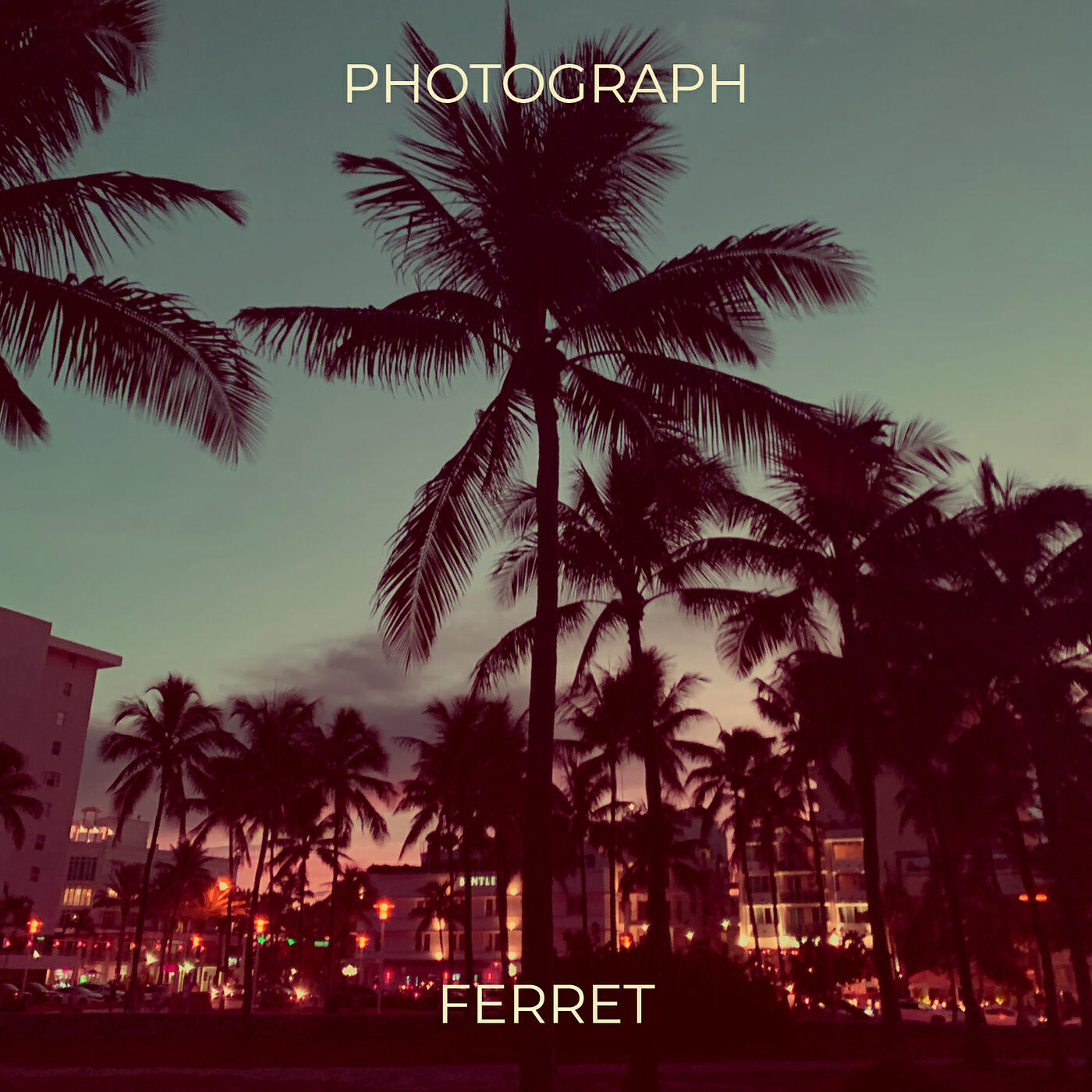 Ferret