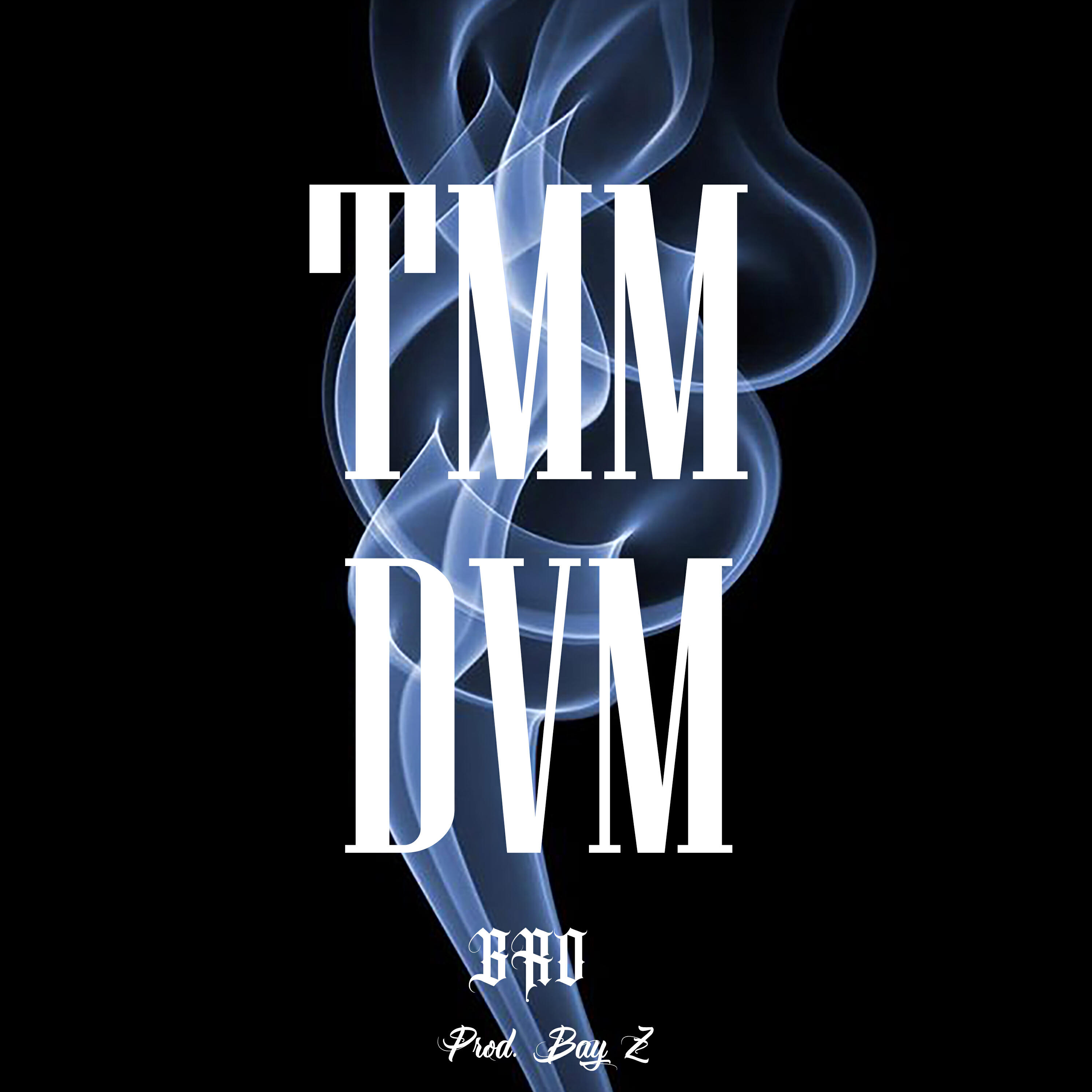 Скачать песню Bro, Bay Z - Tamam Devam бесплатно в MP3 для Android и iOS