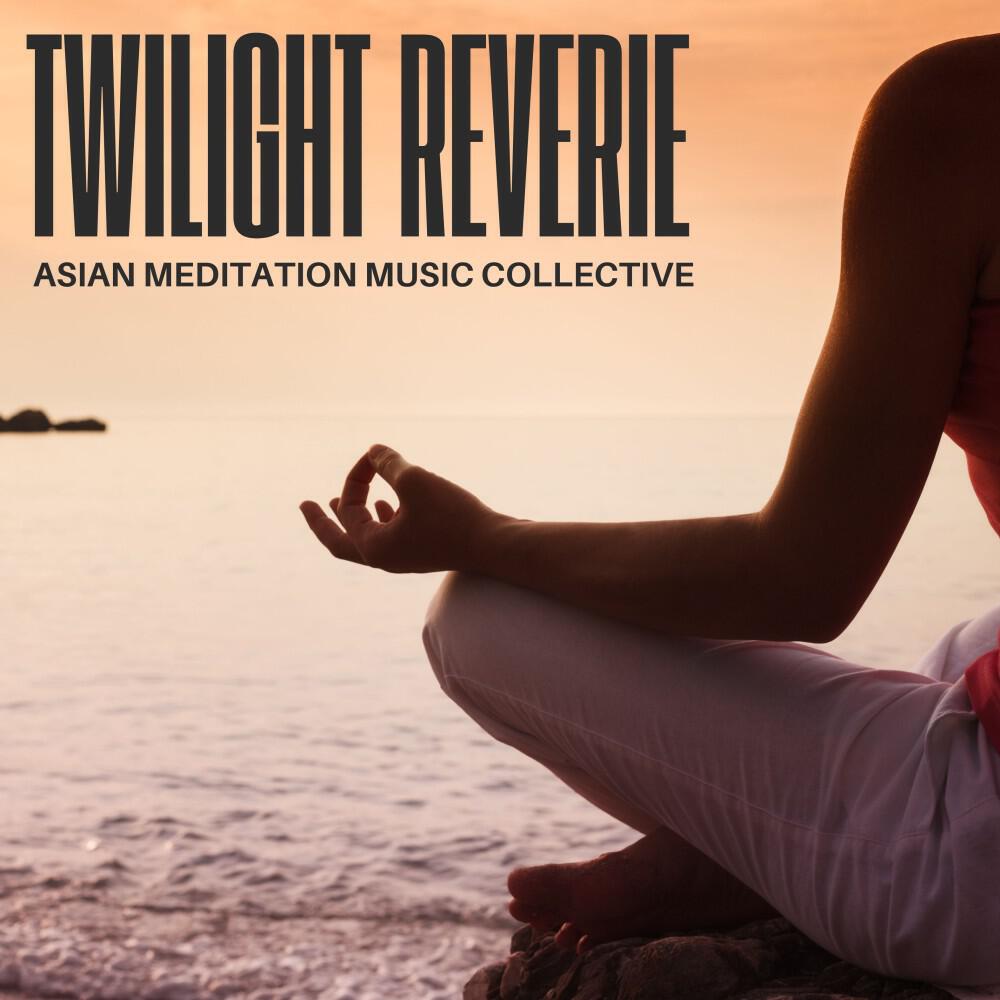 Релиз Twilight Reverie: Sleep Meditation Music