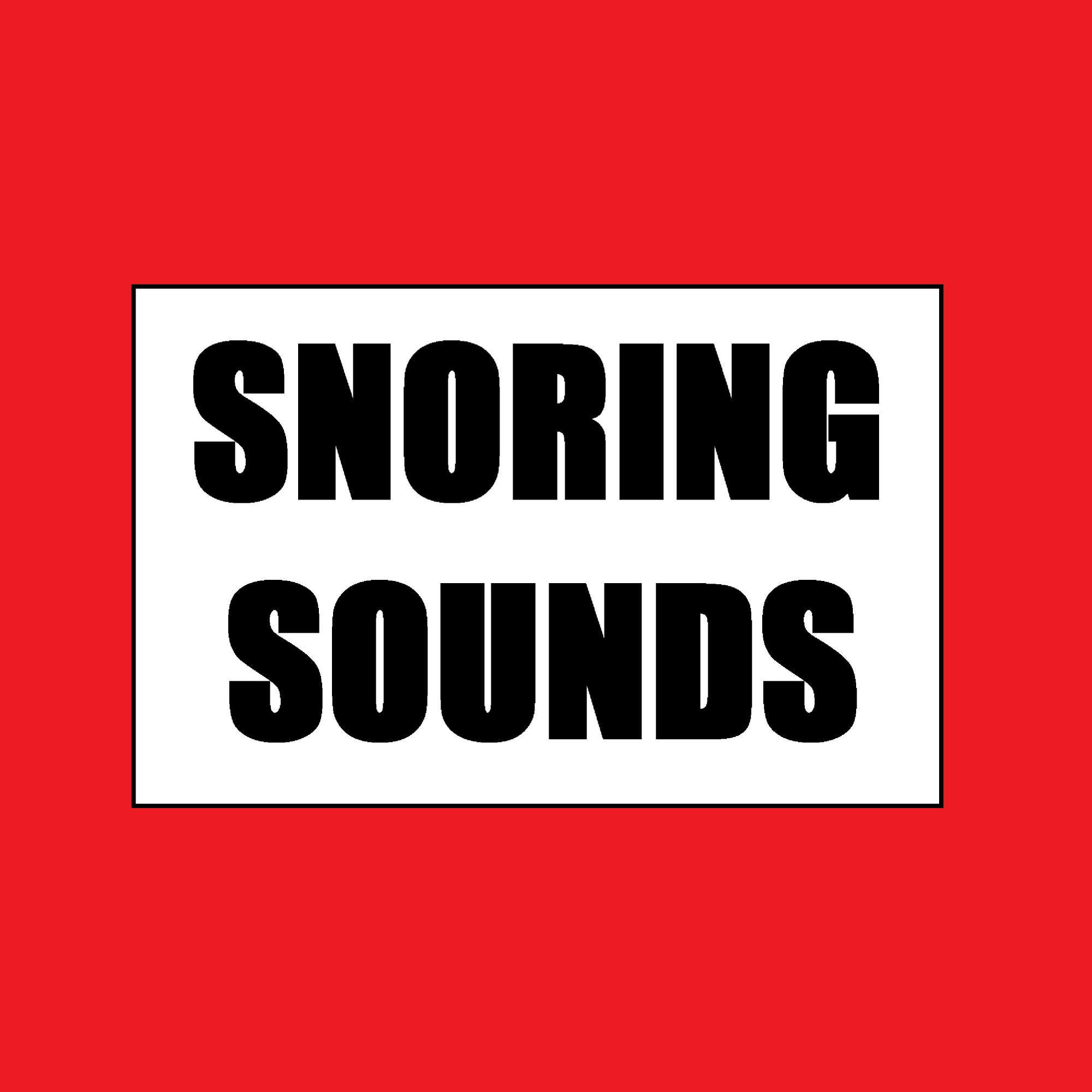 Релиз Snoring sounds