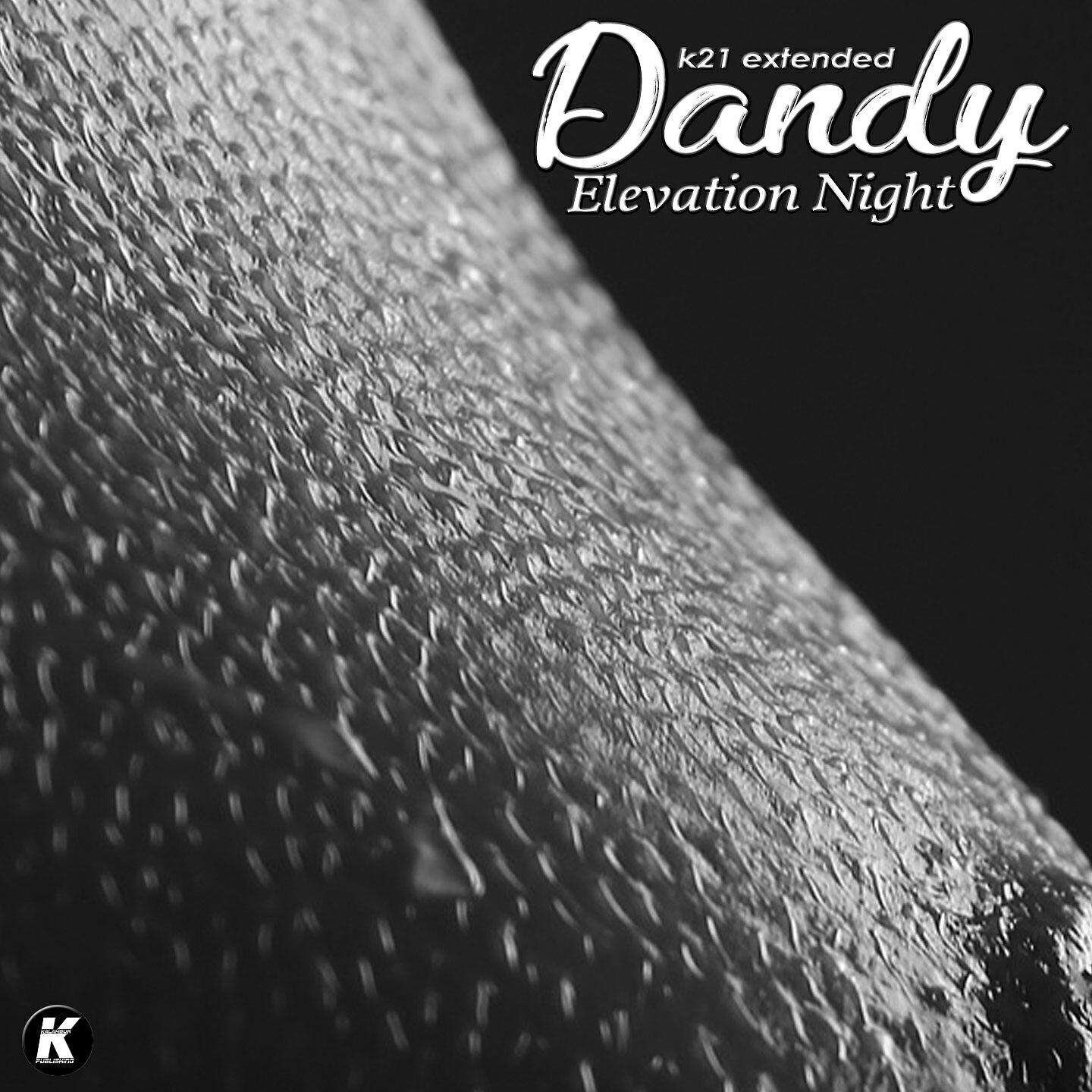 Релиз Elevation Night