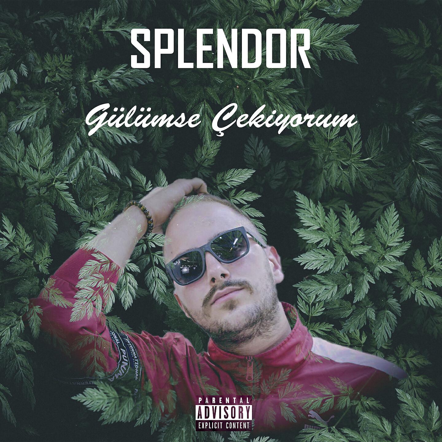 Постер альбома Gülümse Çekiyorum