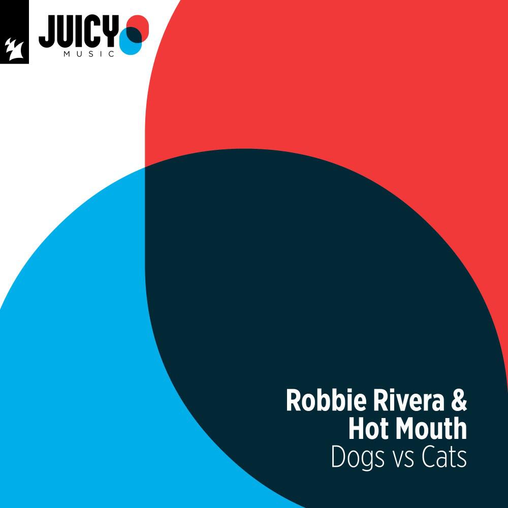 Релиз Dog vs Cats
