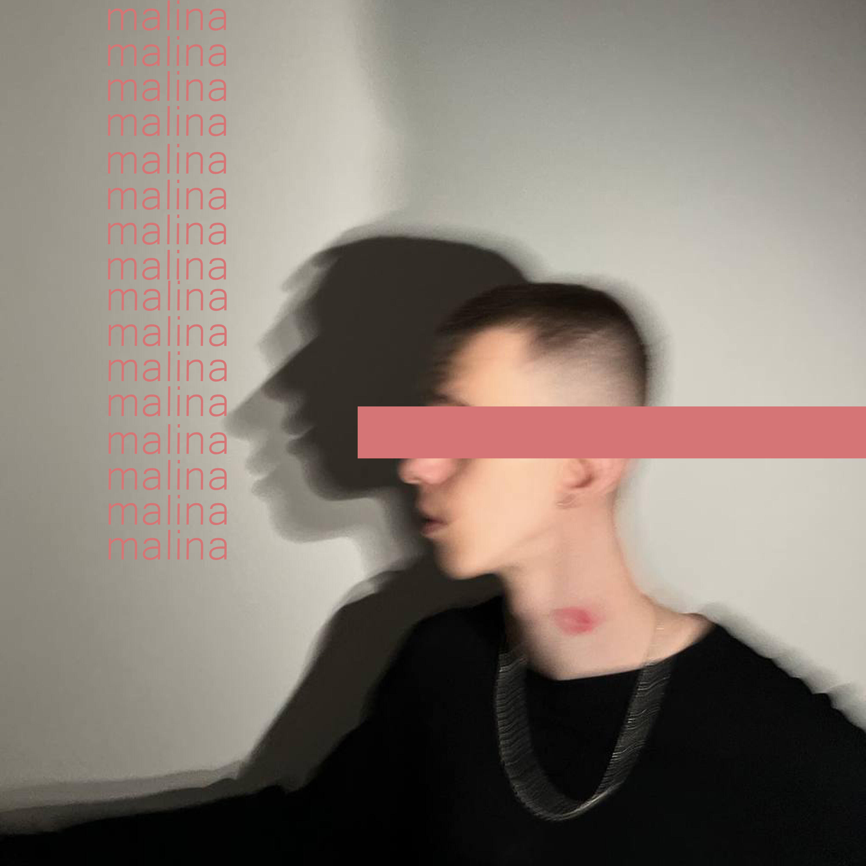 Релиз malina
