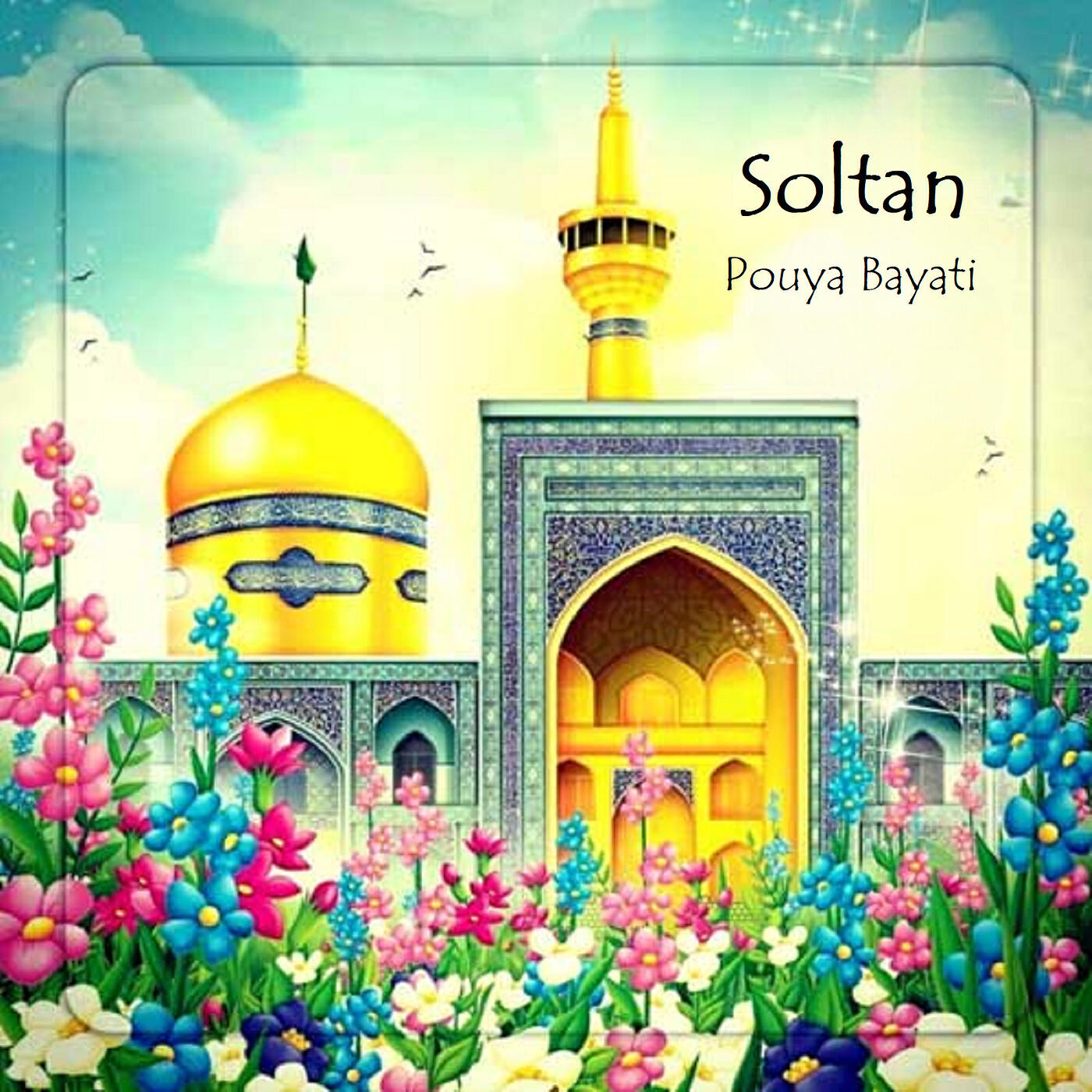 Постер альбома Soltan