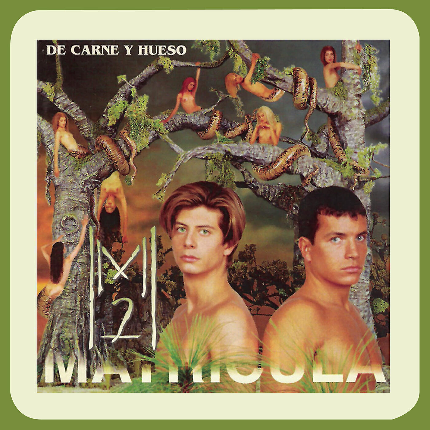 Релиз De Carne y Hueso