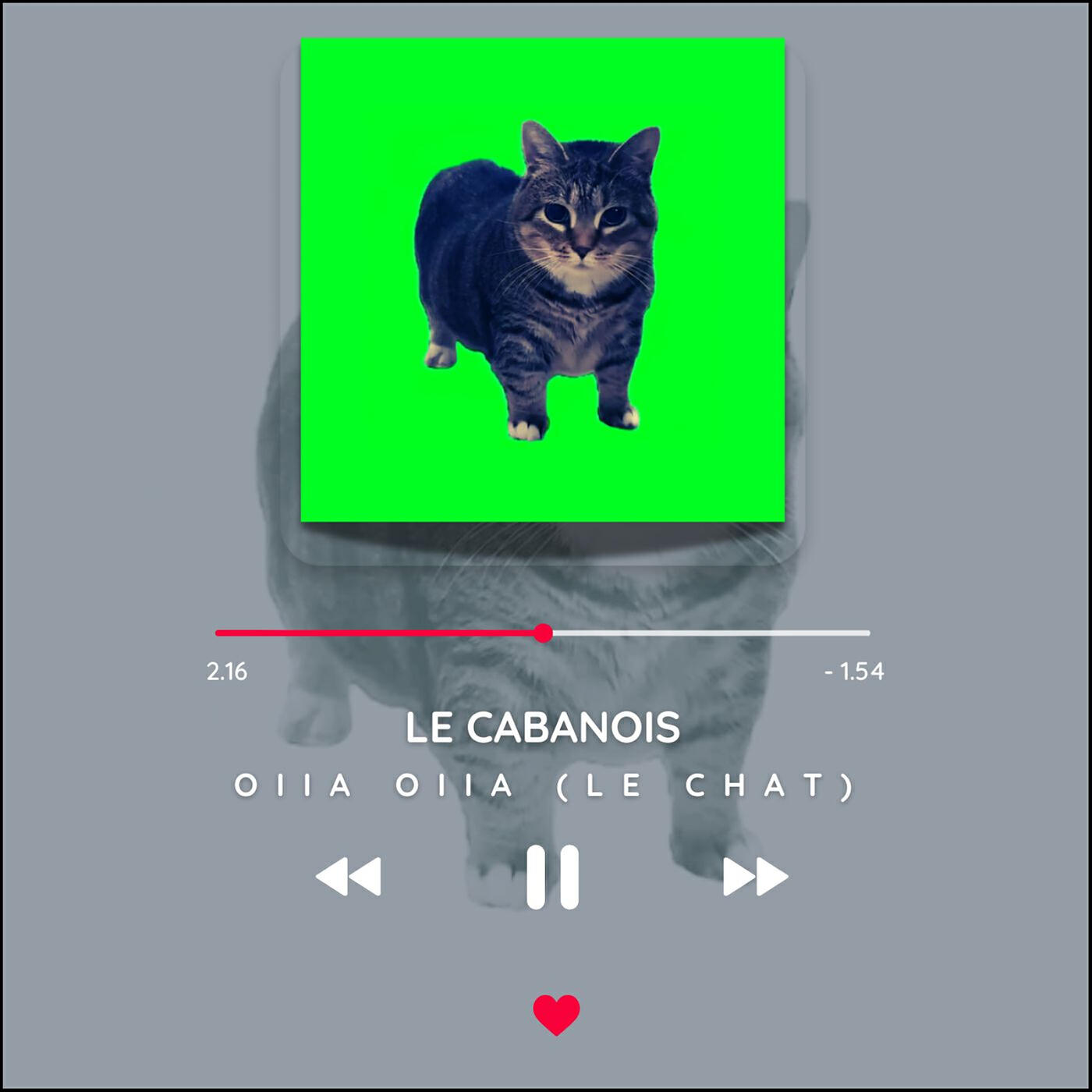 Постер альбома OIIA OIIA (Le chat)