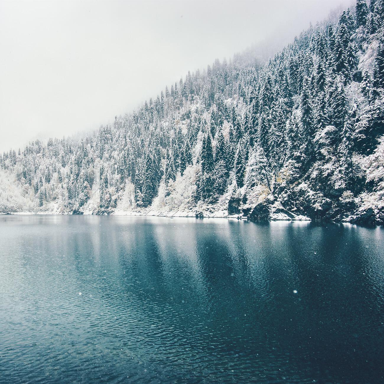 Релиз December Nights