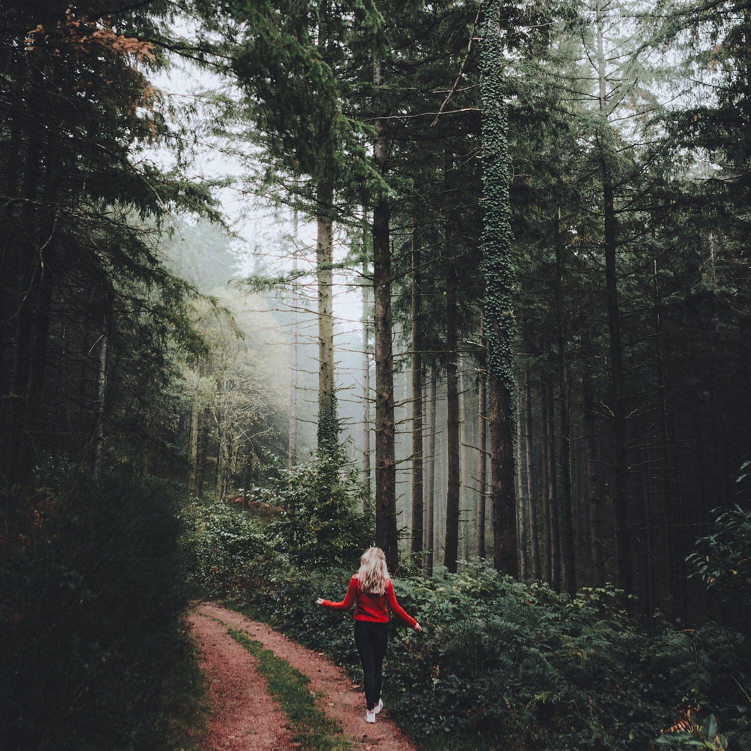 Релиз Sounds of machine for deep sleep