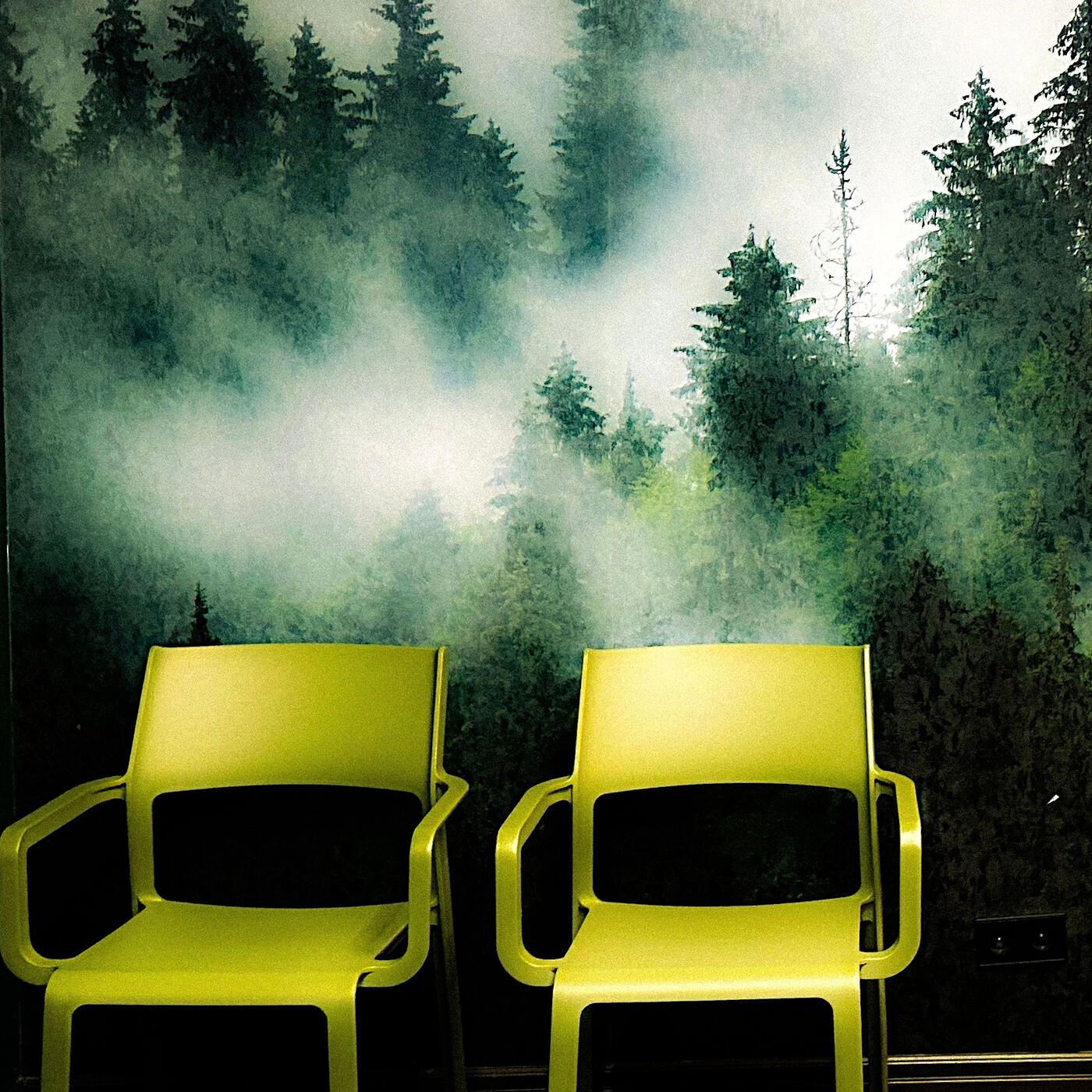 Релиз Köktem-Köktem, Jaz