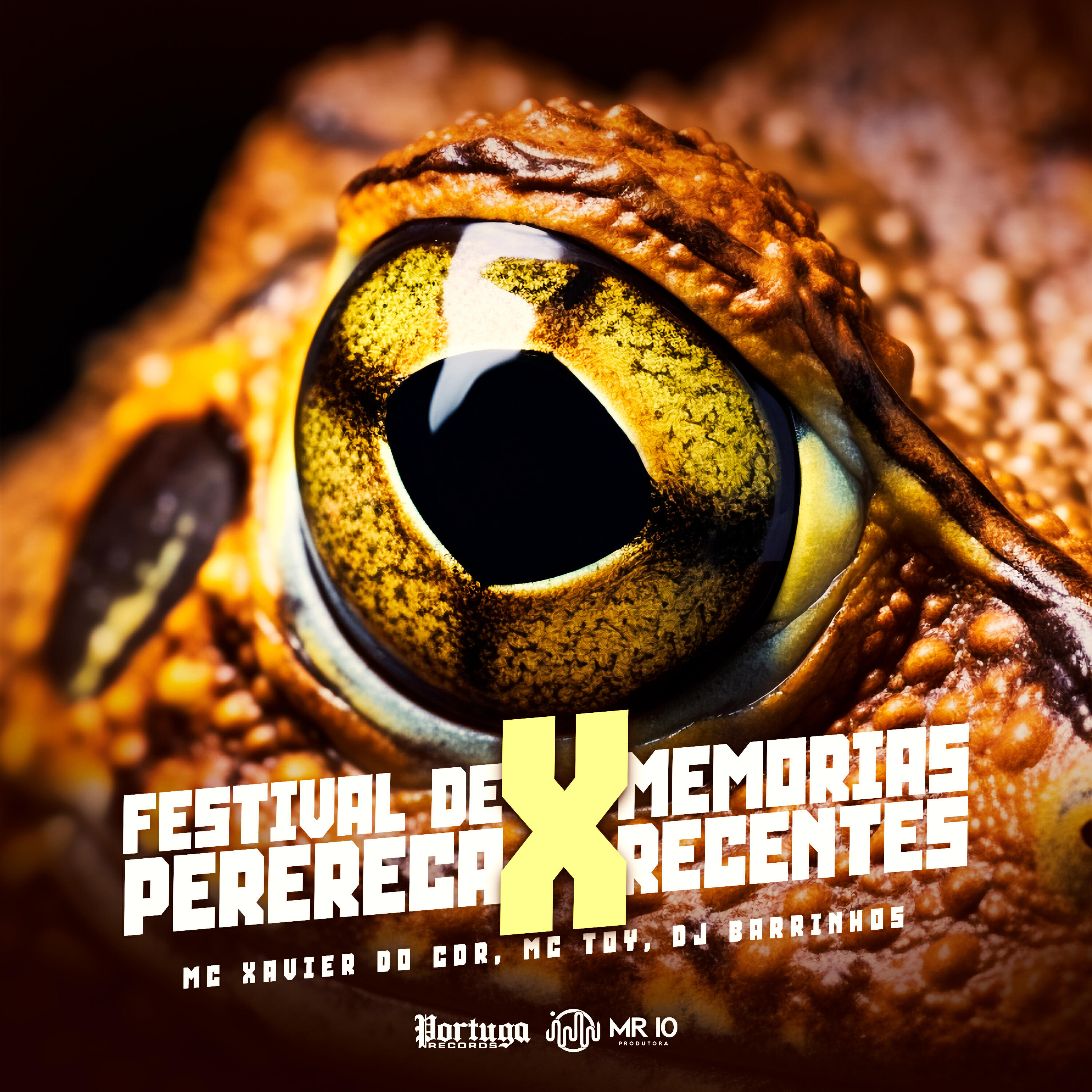 Релиз Festival de Perereca X Memórias Recentes