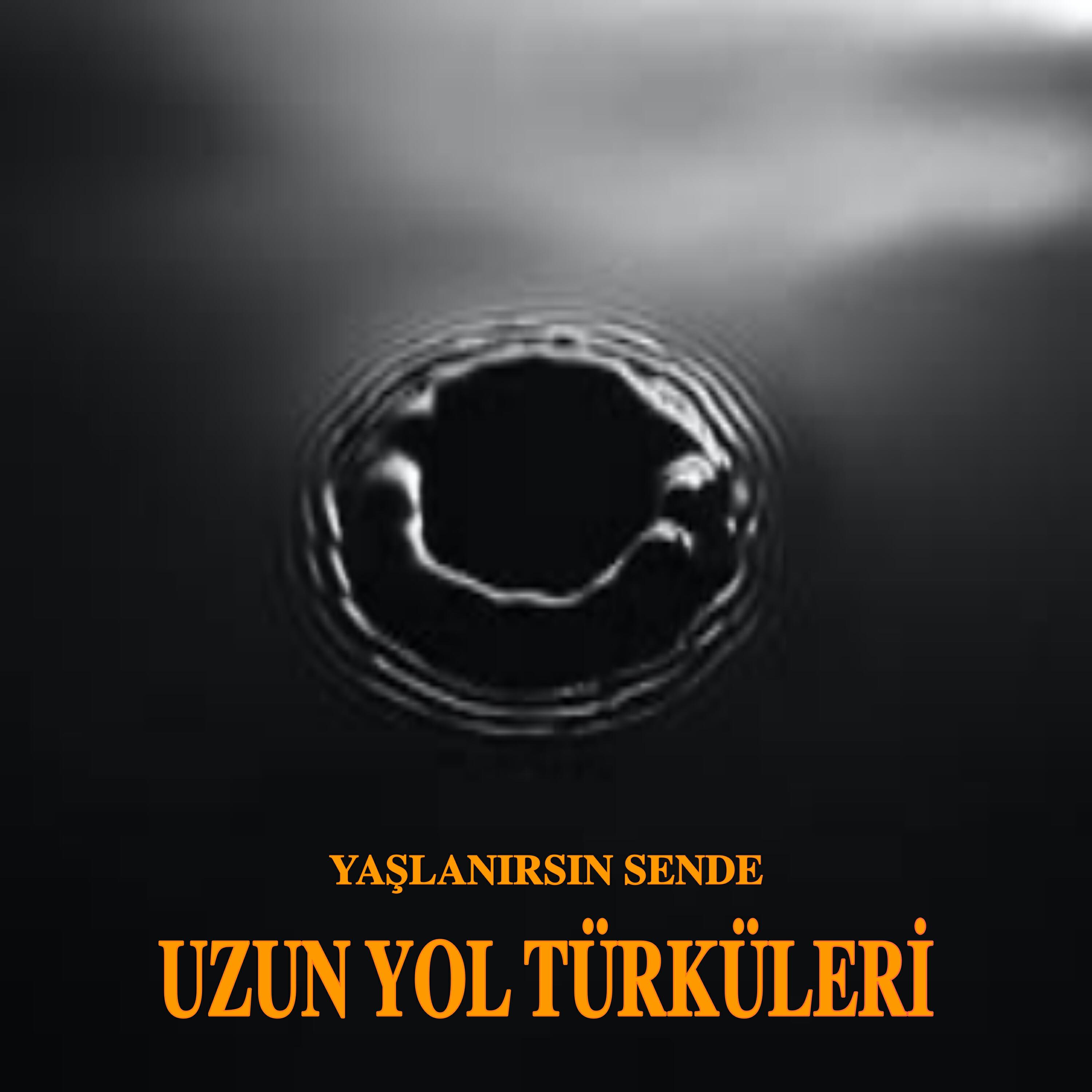 Релиз Yaşlanırsın Sende