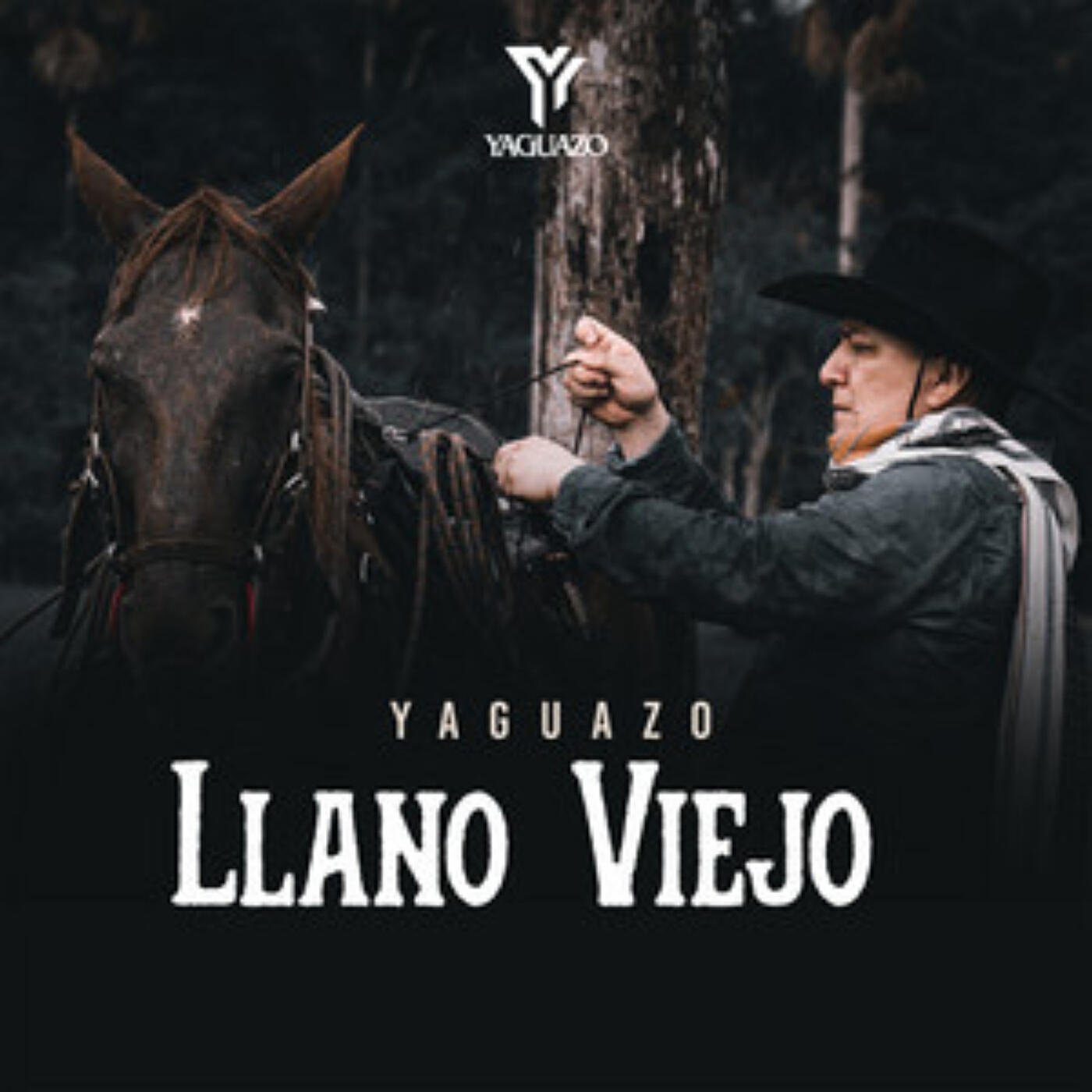 Релиз Llano Viejo