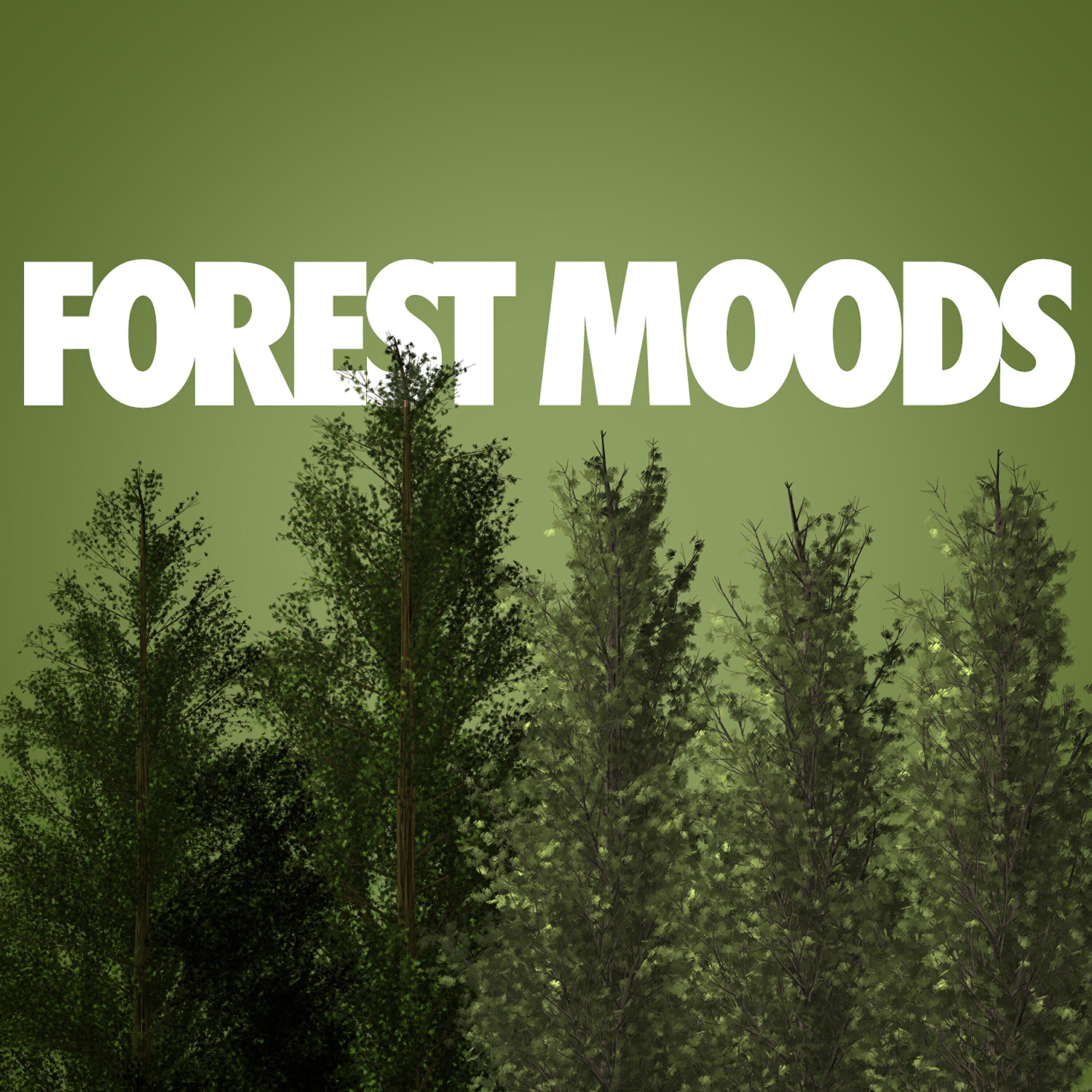 Релиз Forest Moods