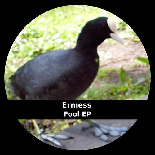 Релиз Fool EP