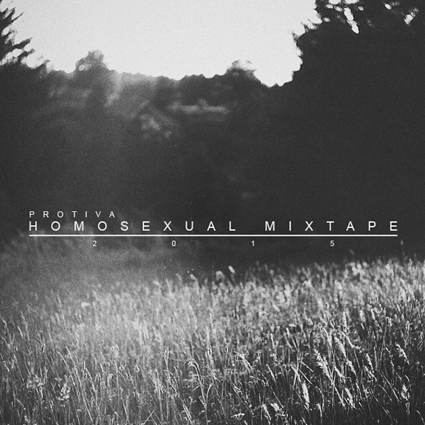 Постер альбома Homosexual mixtape