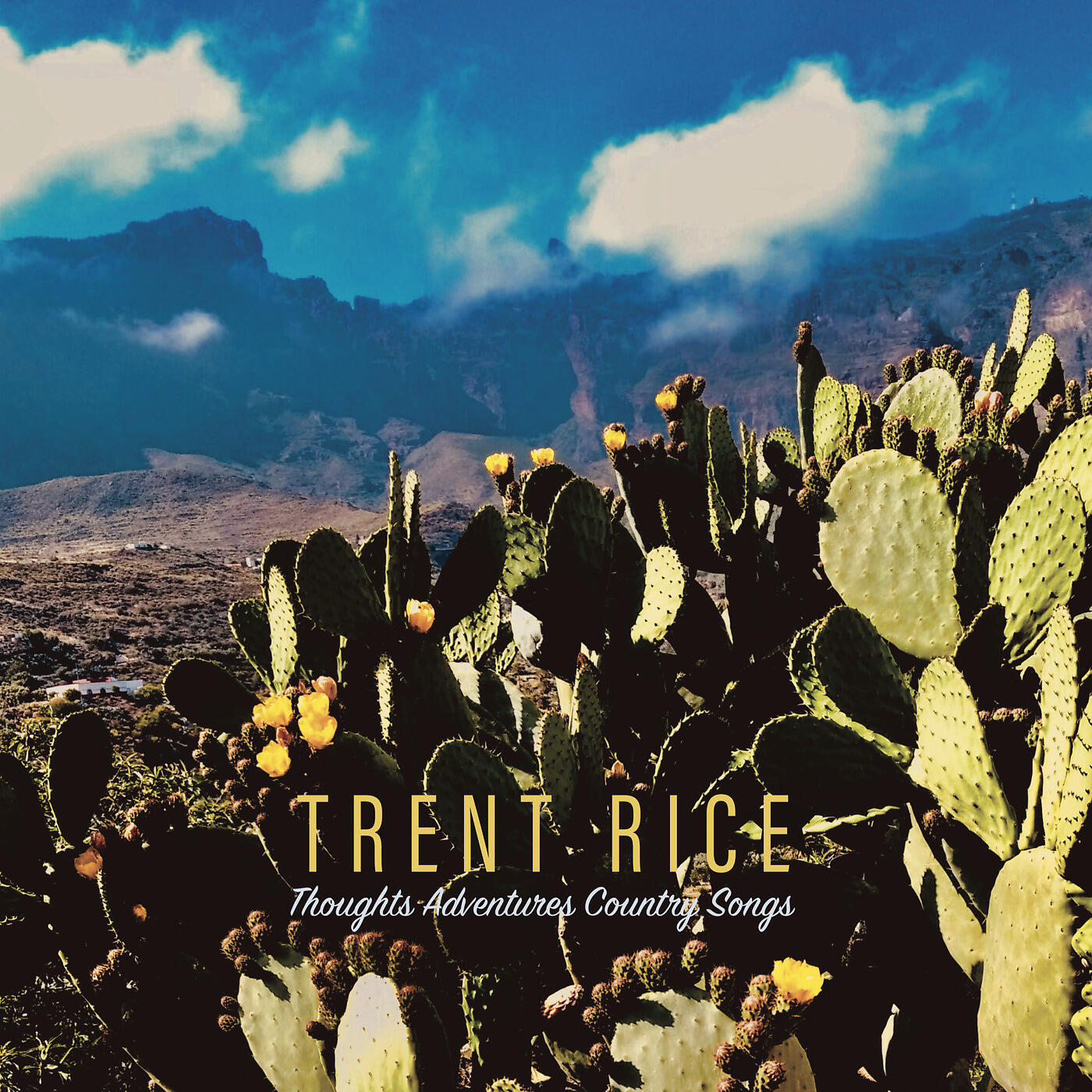 Релиз Thoughts Adventures Country Songs