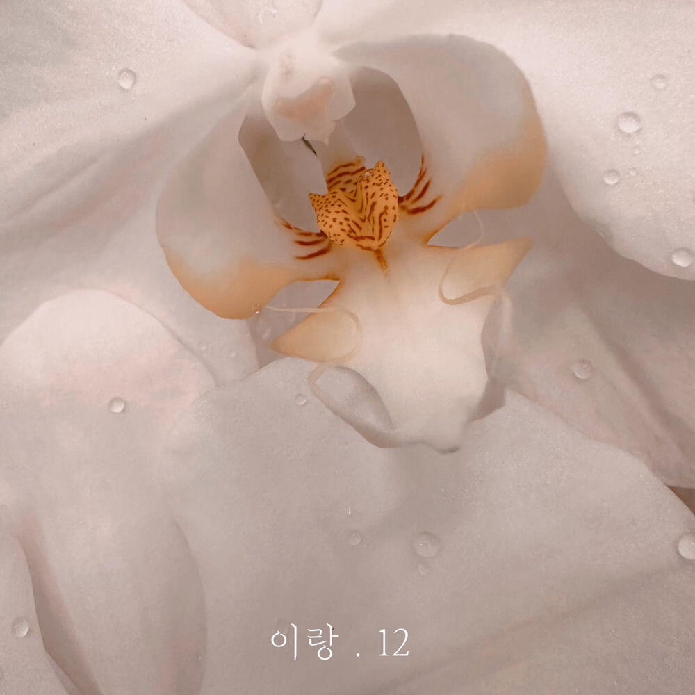 Релиз 이랑.12