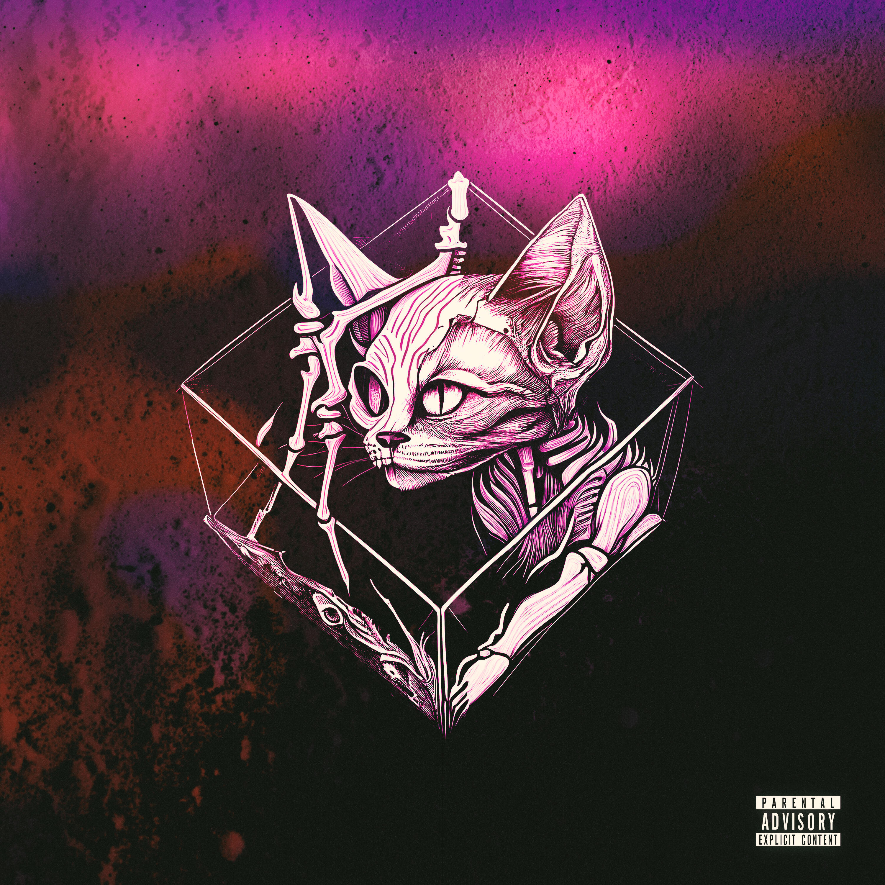 Релиз No Existe la Certeza, Solo la Oportunidad