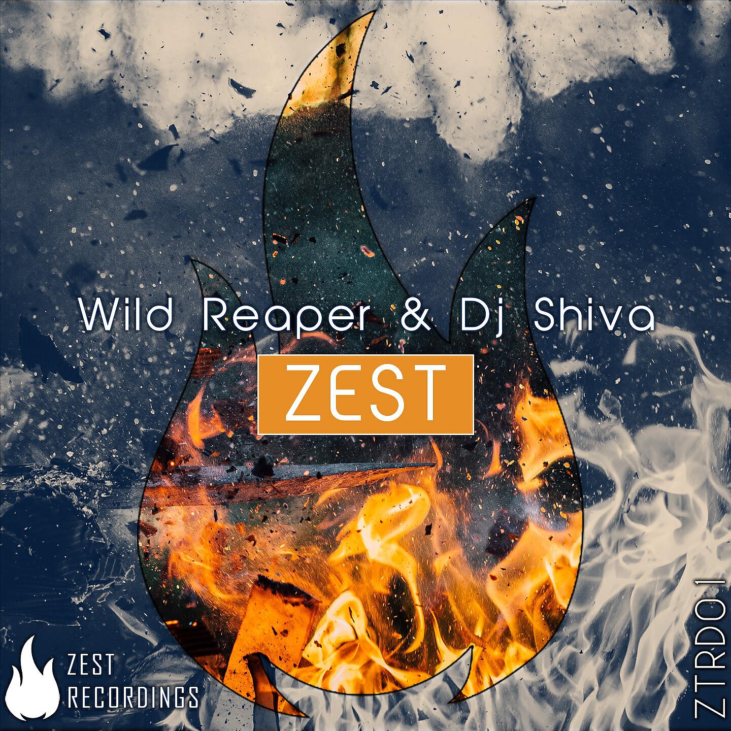 Релиз Zest