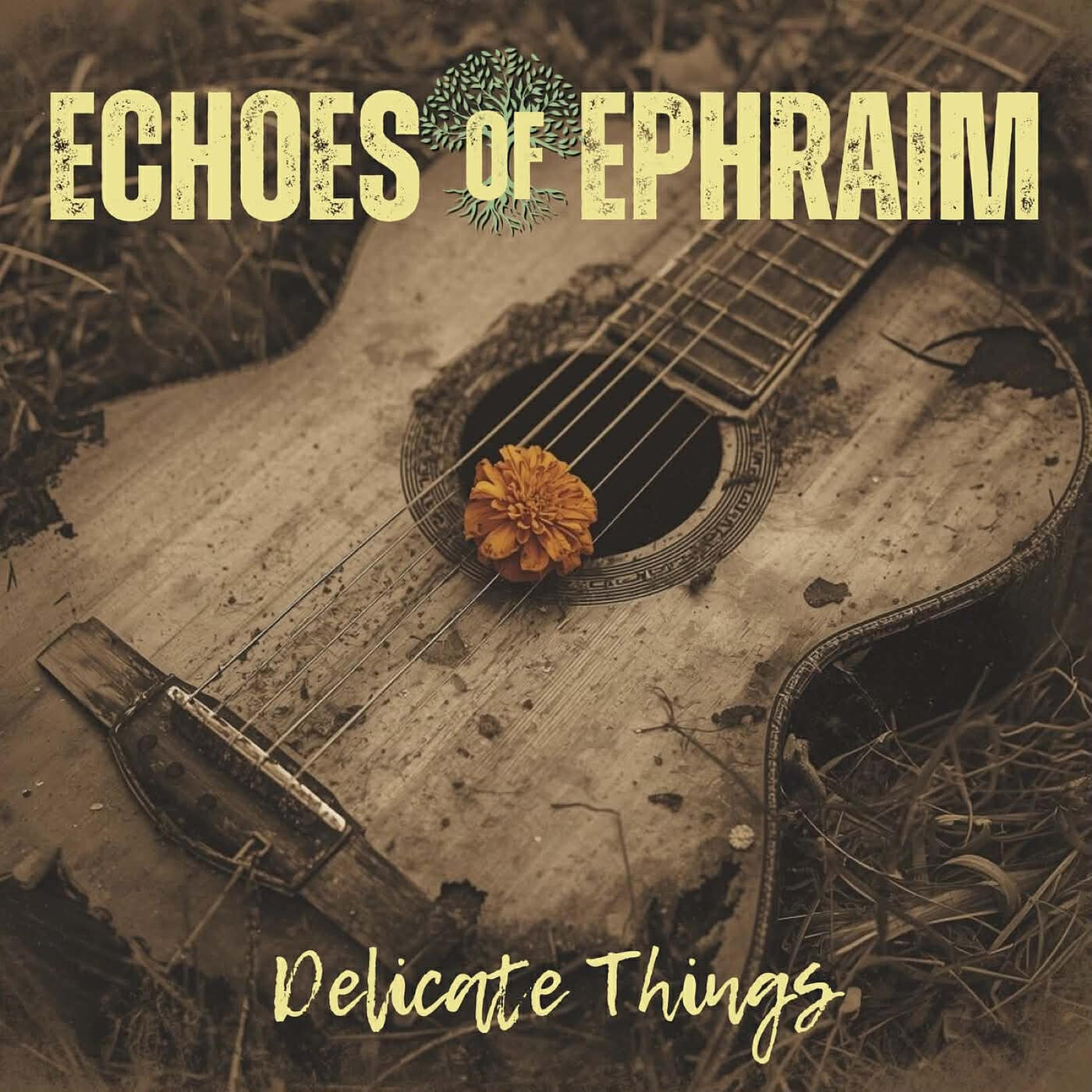 Релиз Delicate Things